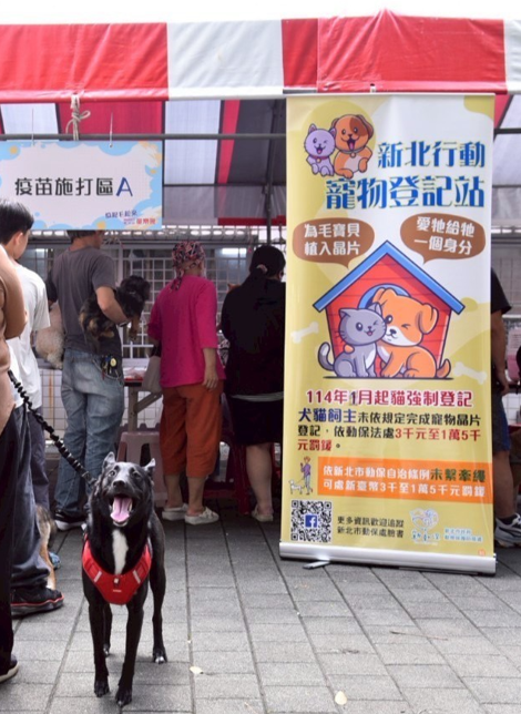 每場疫苗注射活動都有免費施打晶片及寵物登記，犬貓皆應完成晶片植入及寵物登記