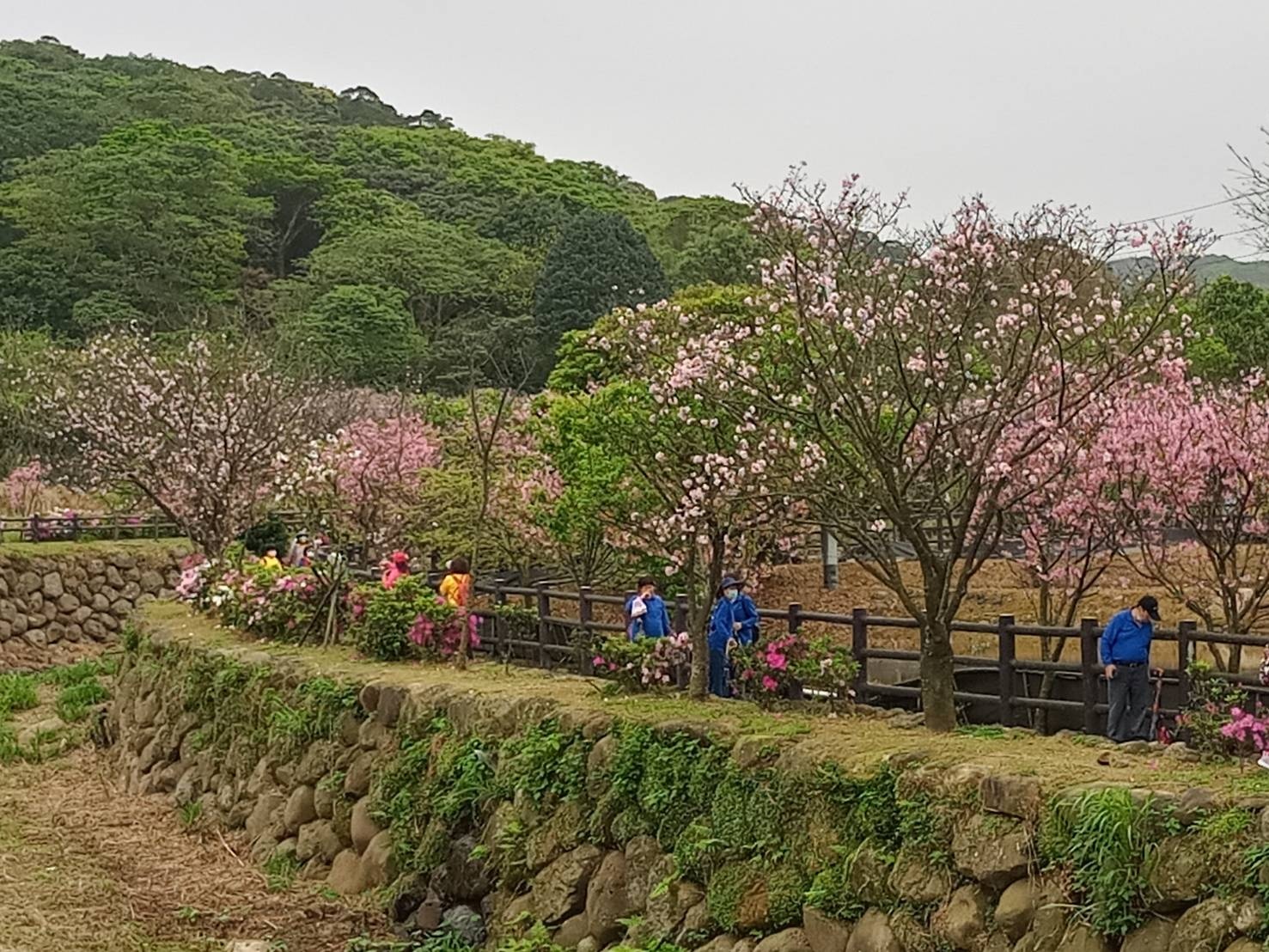 三芝三和社區三生步道