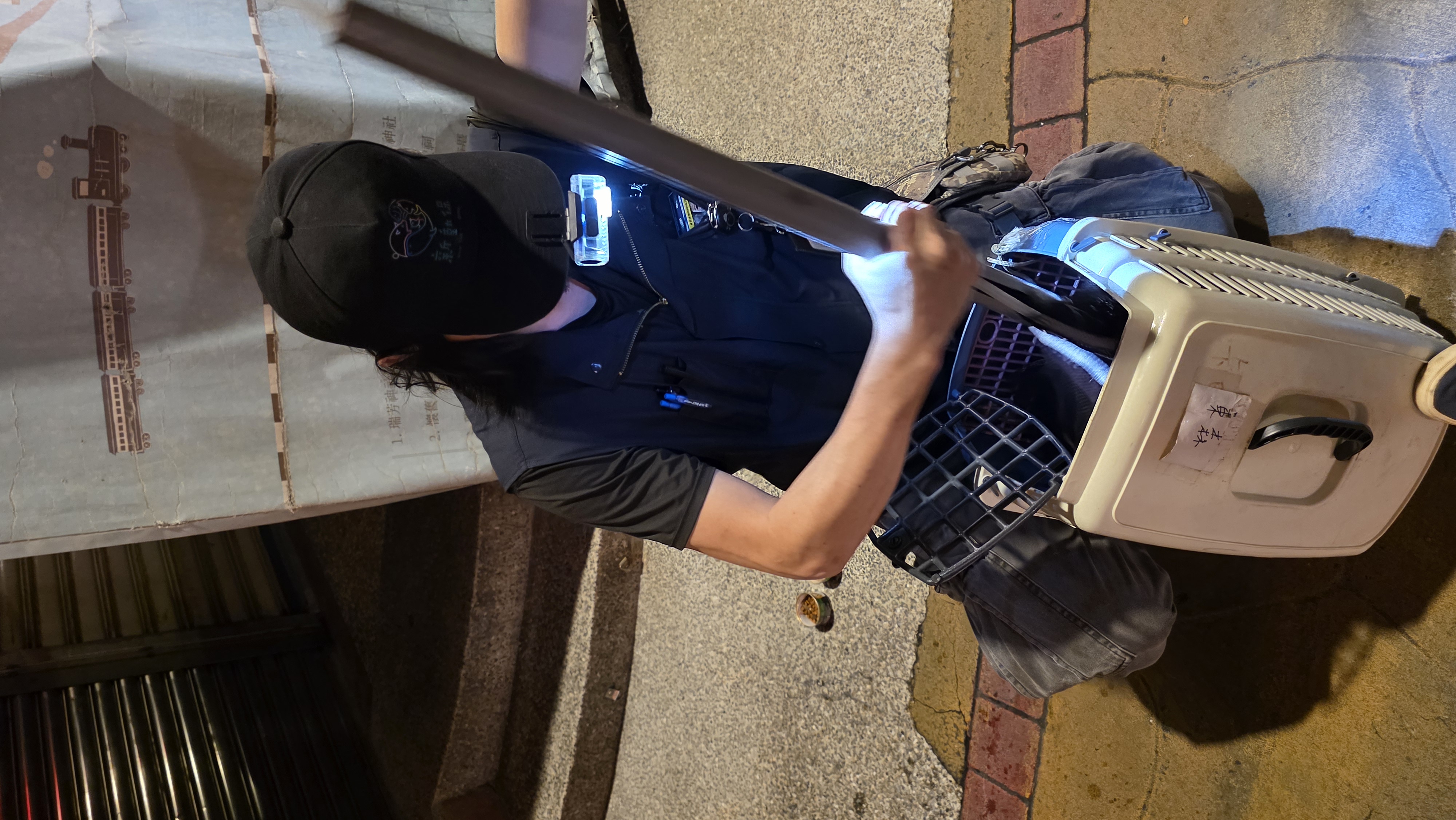 準備進行小貓救援