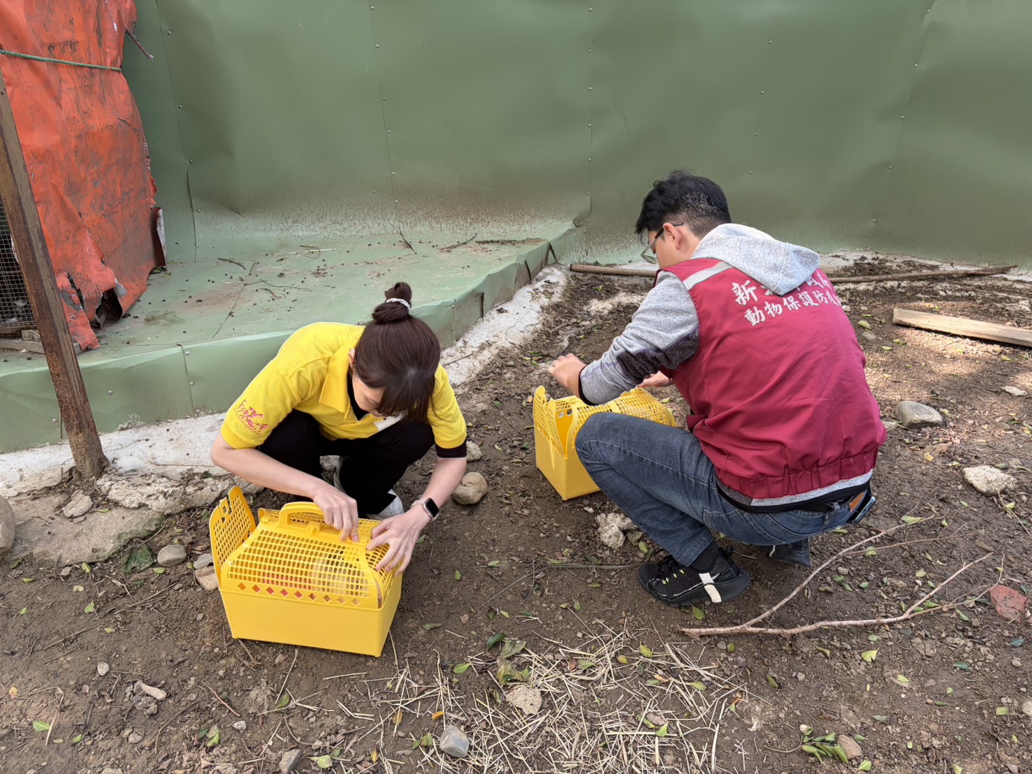  與愛兔協會救援存活兔隻