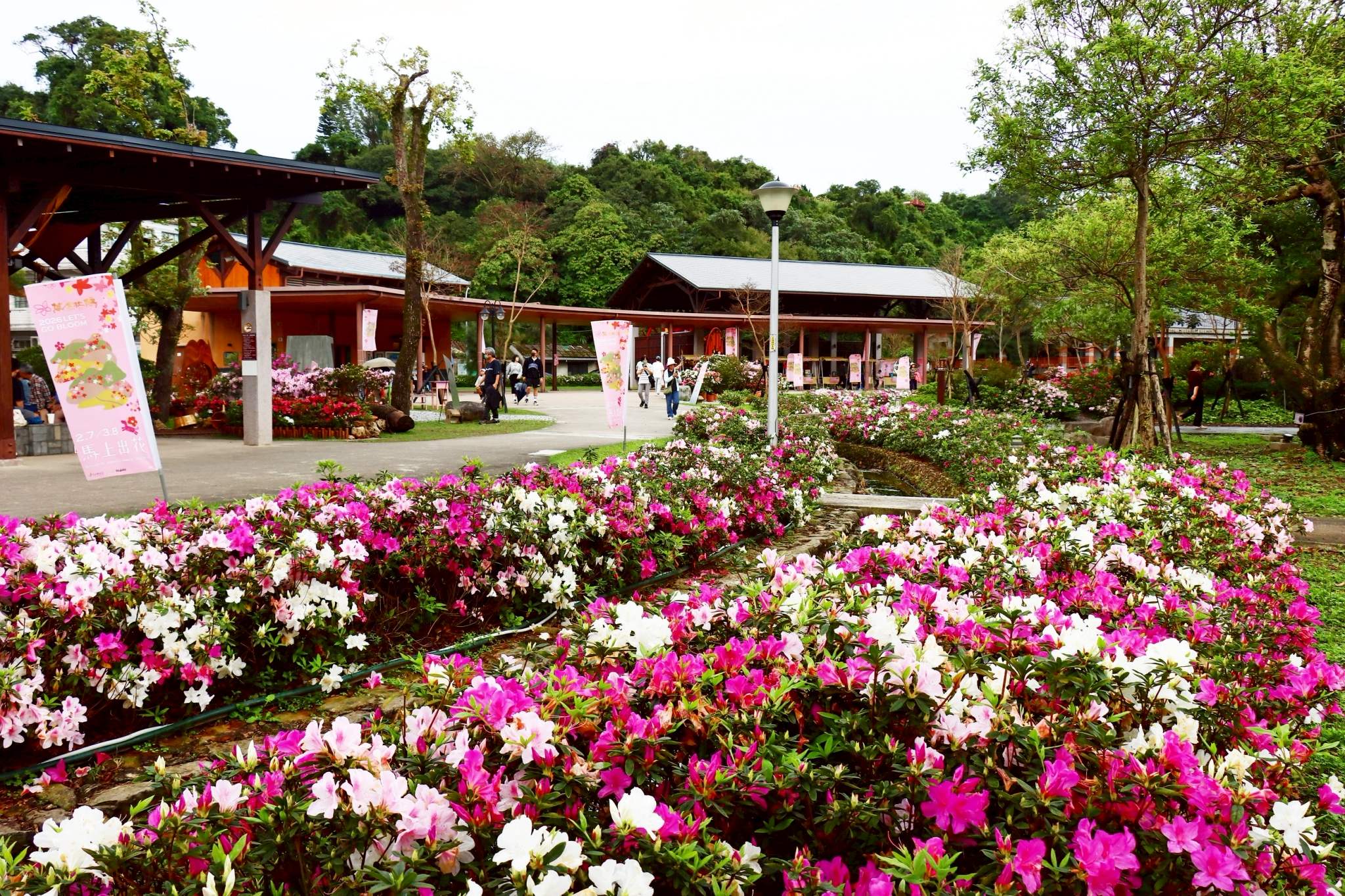金山中山溫泉公園本週末（3月7、8日）都有街頭藝人表演、小農市集，現場拍照打卡還可兌換限量「品牌美植袋」