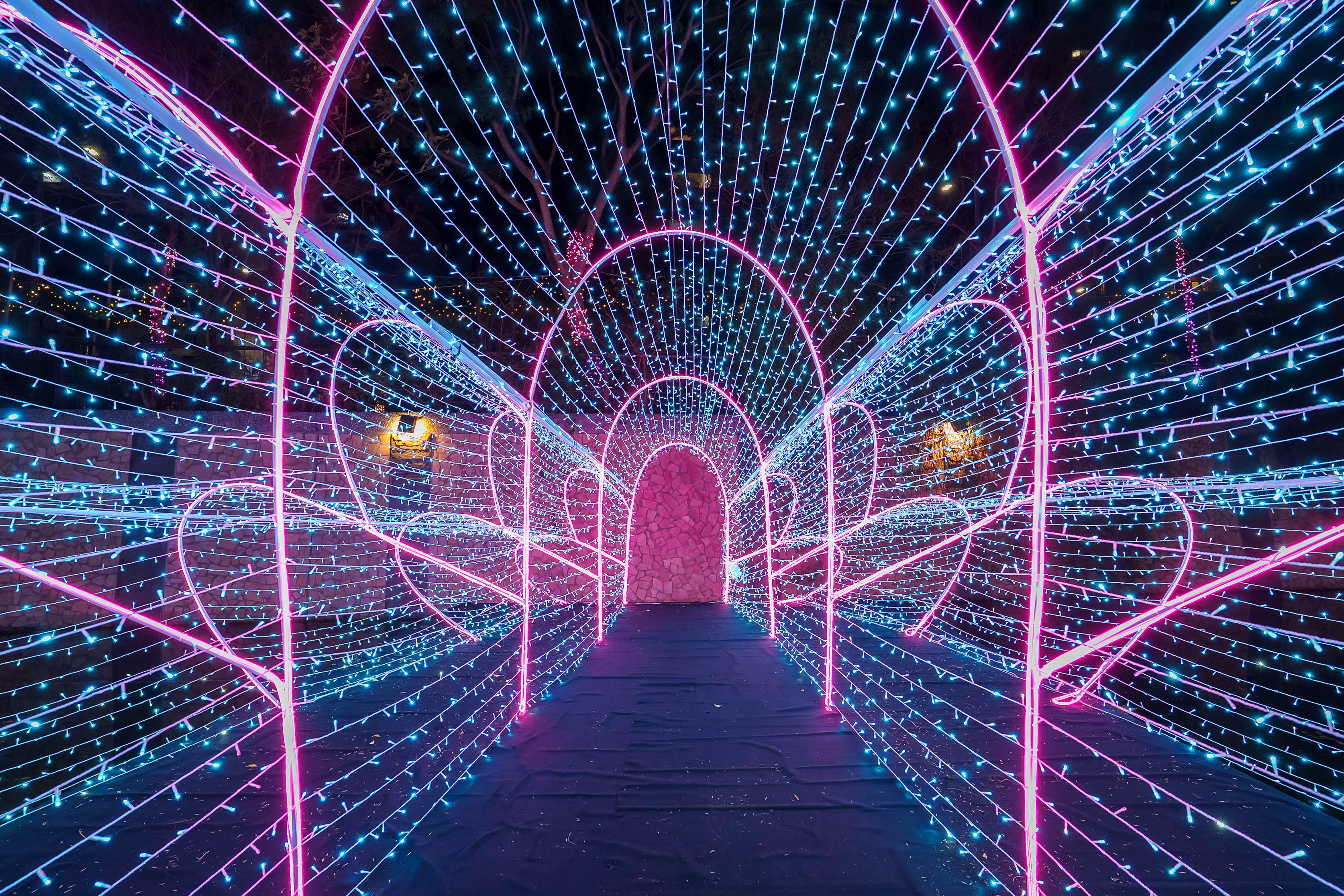 星光燈飾沿著河廊延伸，與夜色中的中港大排相互輝映