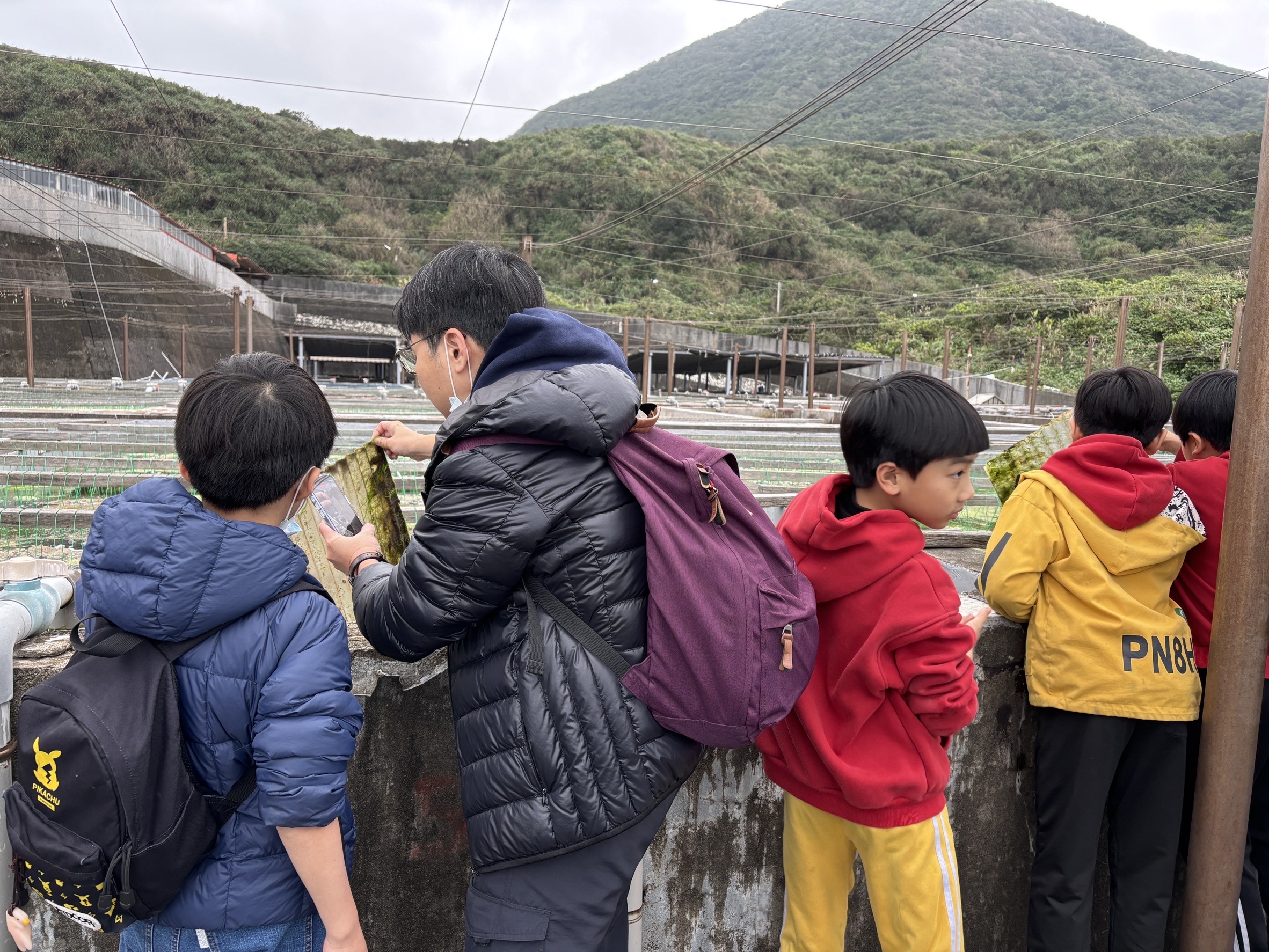 民眾仔細觀察浪板上的九孔苗