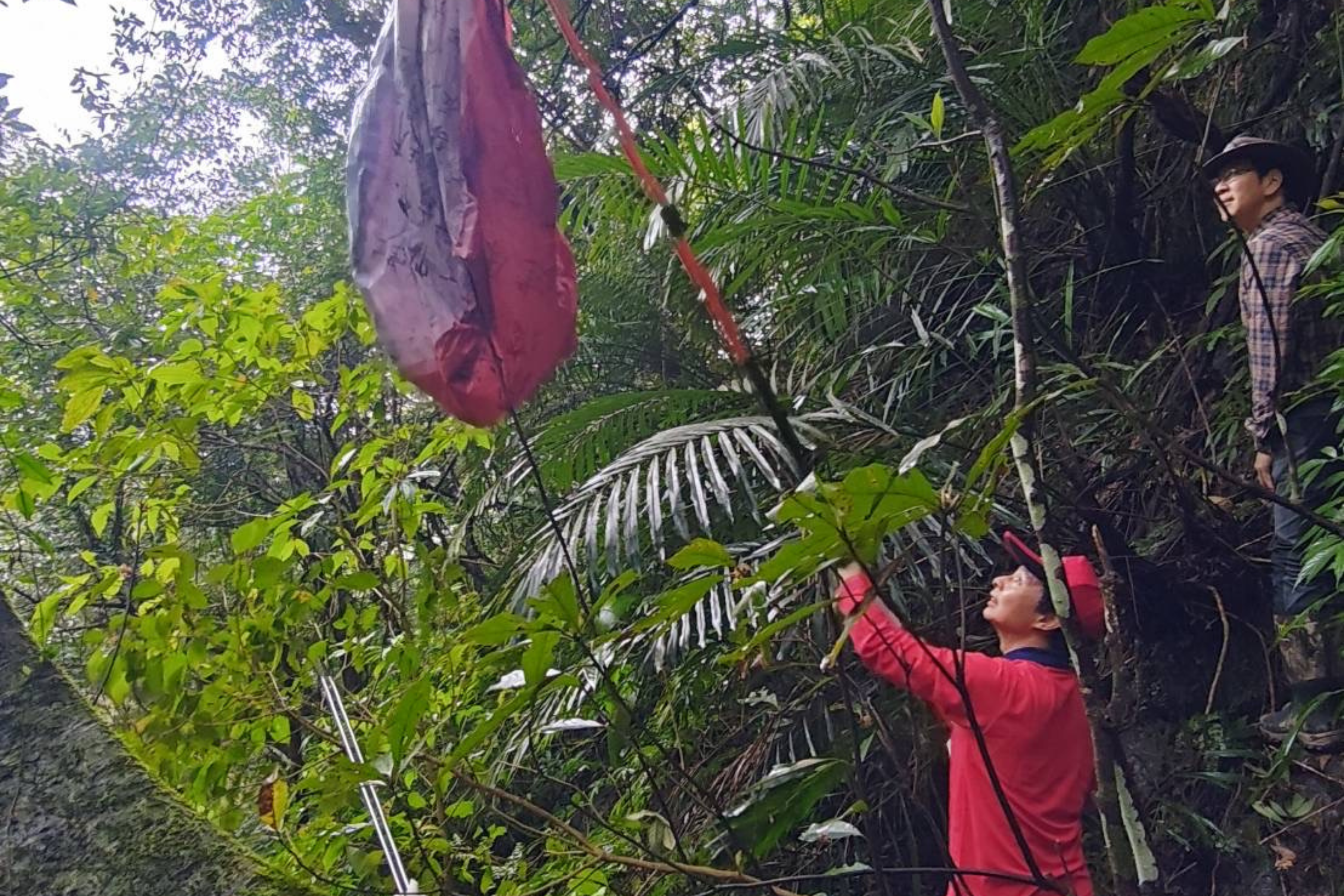 特別邀請知名登山達人吳雲天老師擔任嚮導，帶領民眾深入走訪平溪山林秘境，讓大家在親近自然、欣賞美景的同時，也以實際行動守護山林環境。