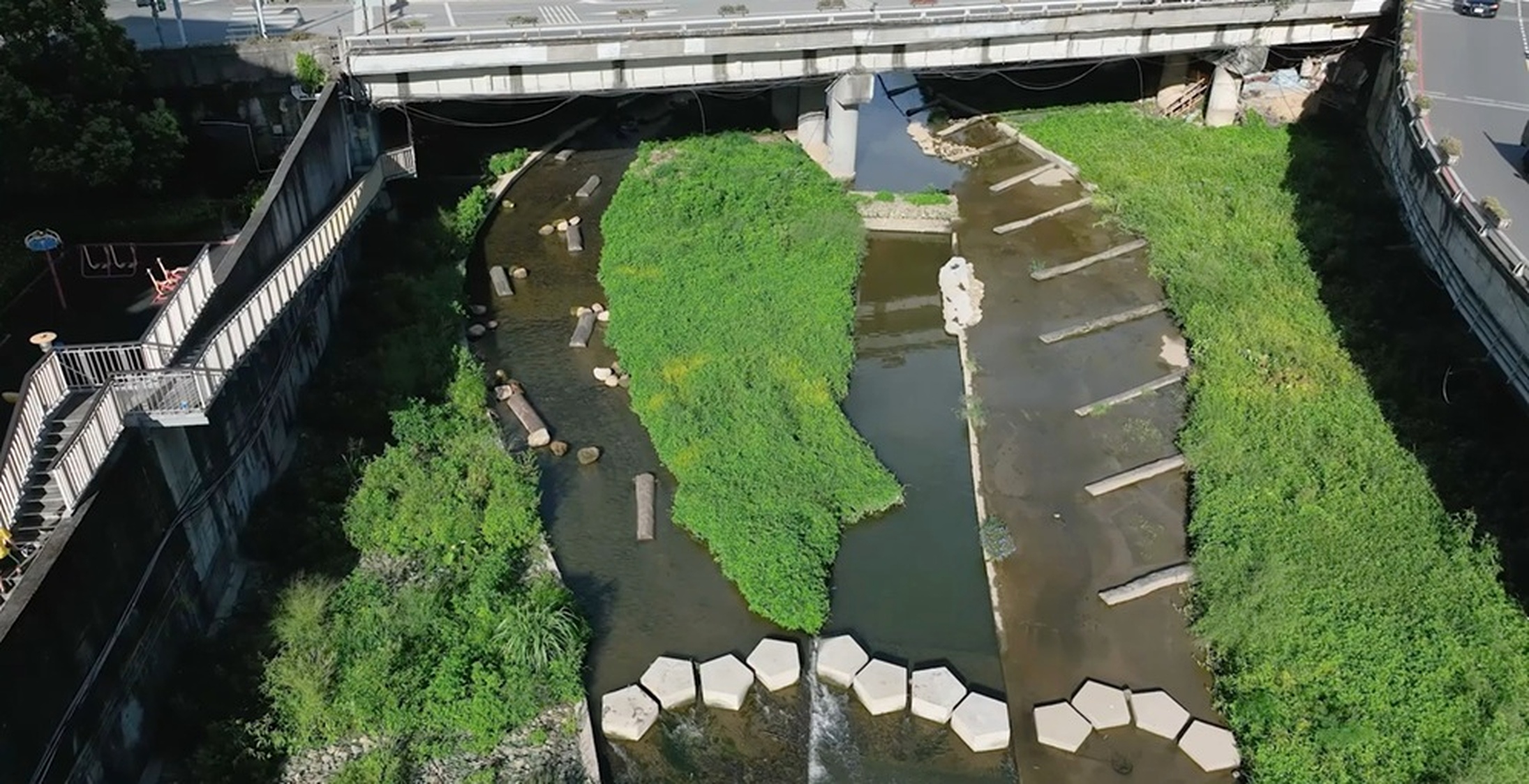 大窠坑溪水環境營造工程具有多樣水域型態，提供自然棲地與生態跳島