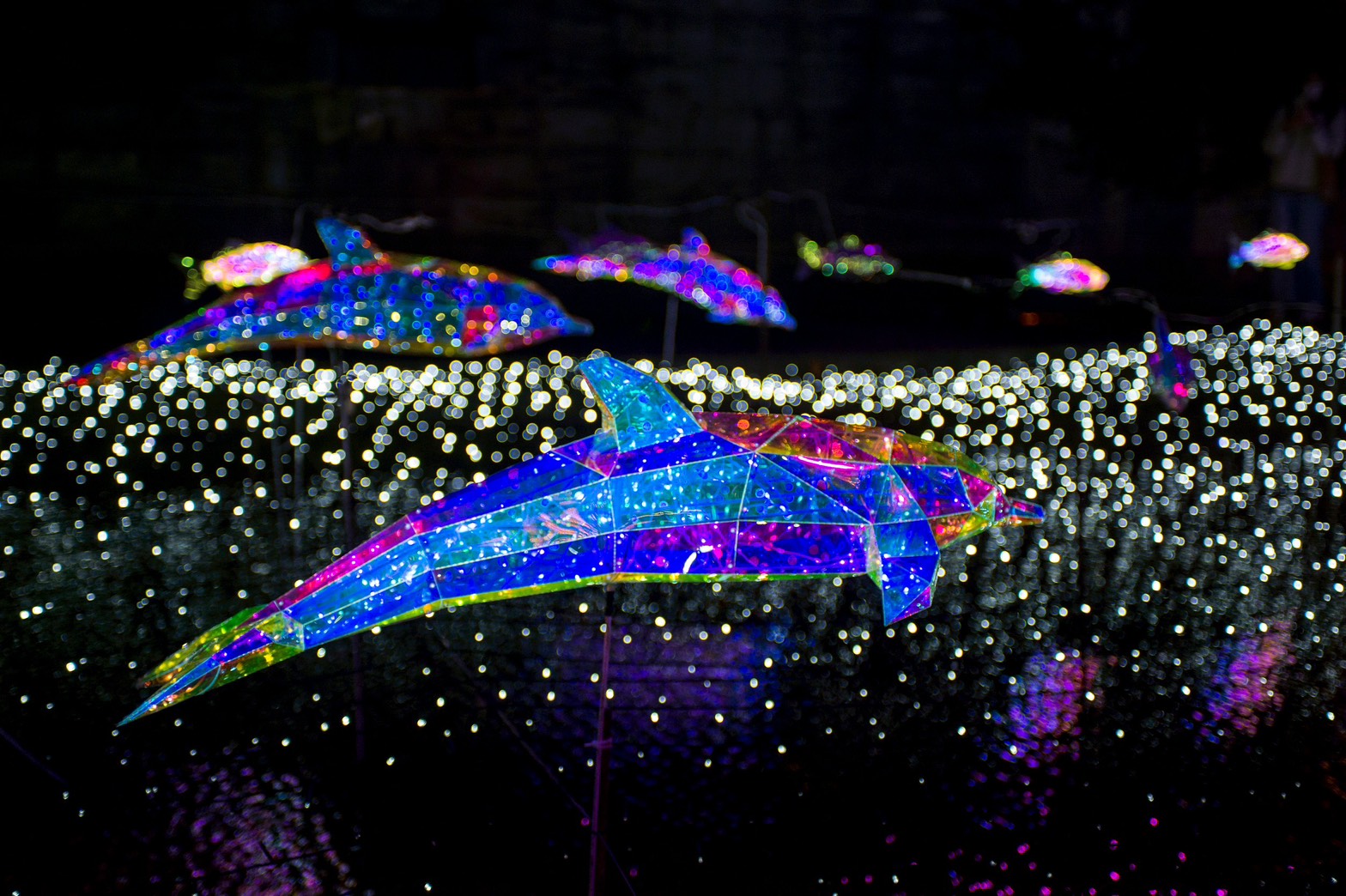 光影海豚悠游夜色燈海映照浪漫水岸