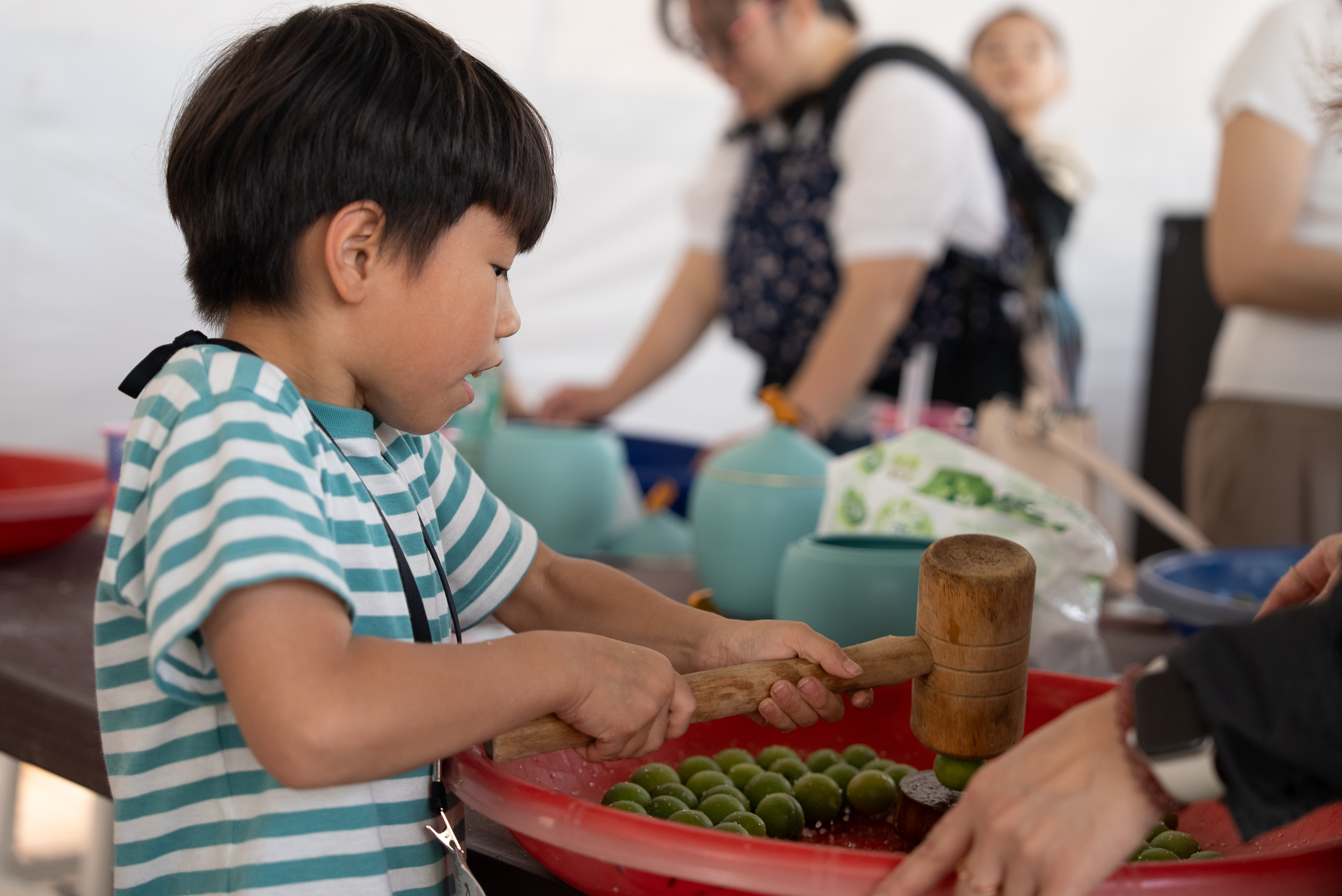 春季走進新北各大博物館，不僅能欣賞精彩展覽，也可參加手作體驗課程，感受文化與創意的魅力。