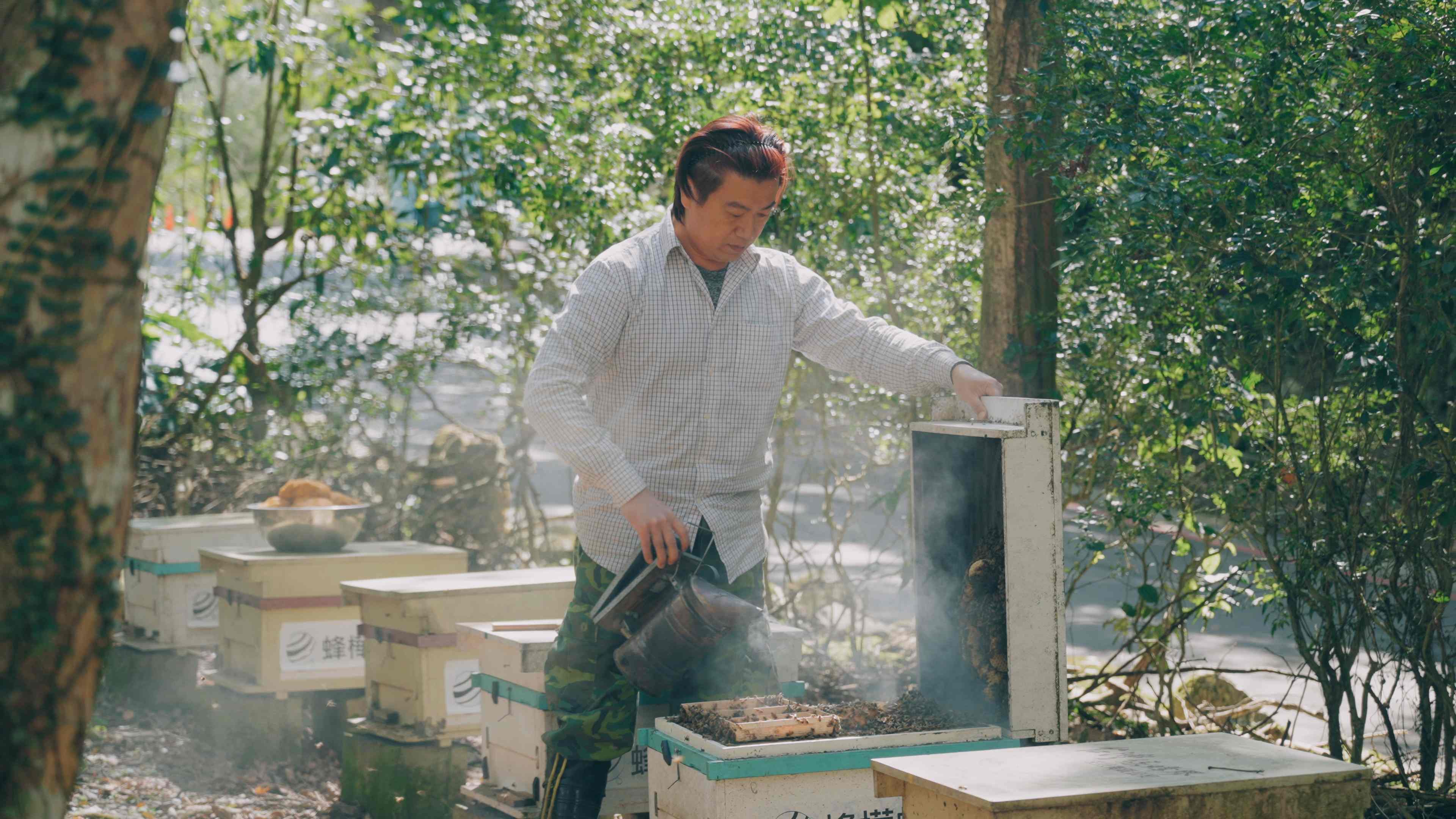 青農陳冠樺於三峽經營蜂樺蜂蜜專賣店，帶著蜂箱採集台灣各地蜂蜜