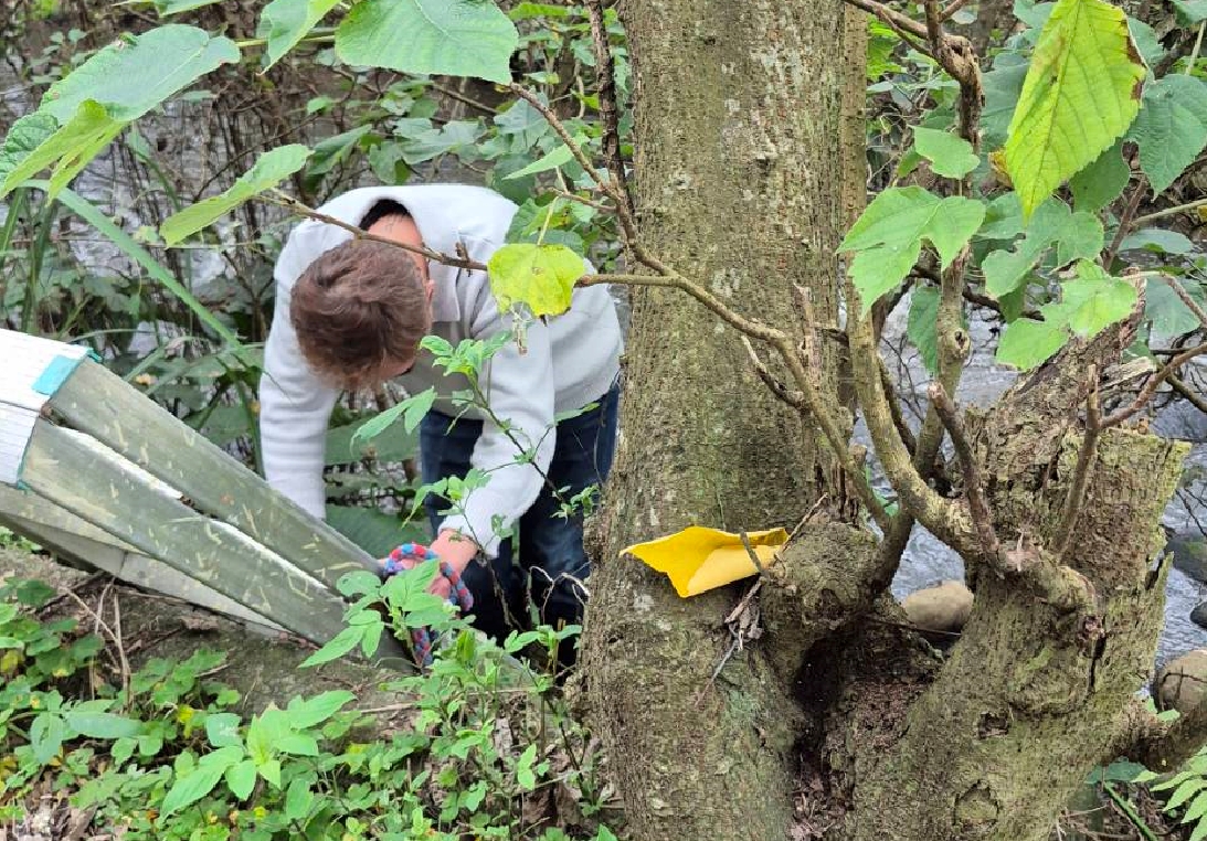  動保員運用架梯下溪床