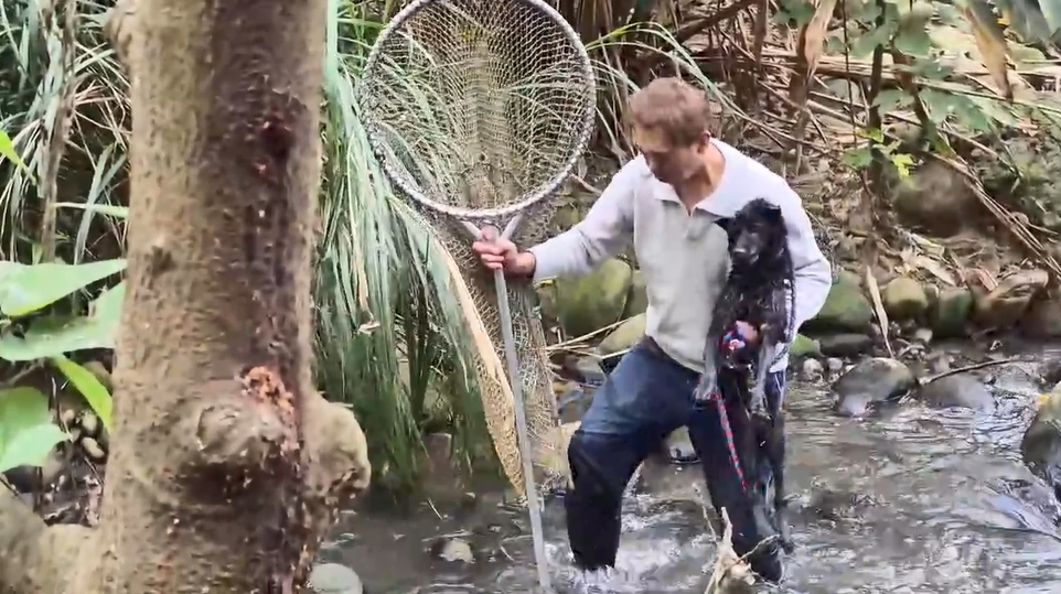 動保員李紘陞抱住黑狗上岸