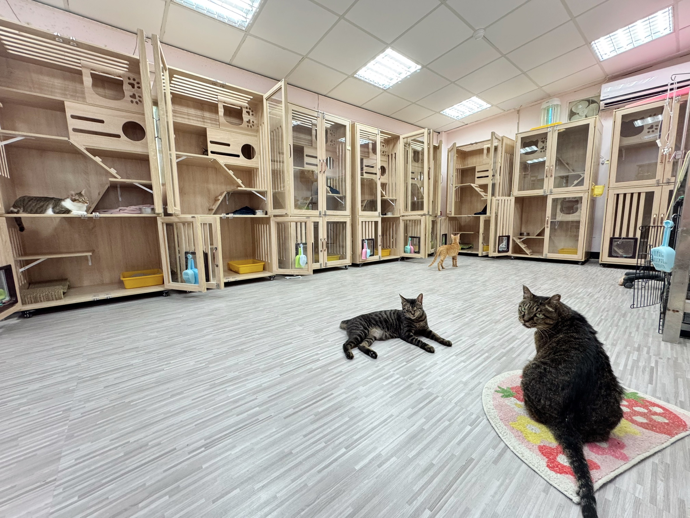  歡迎來參觀八里動物之家