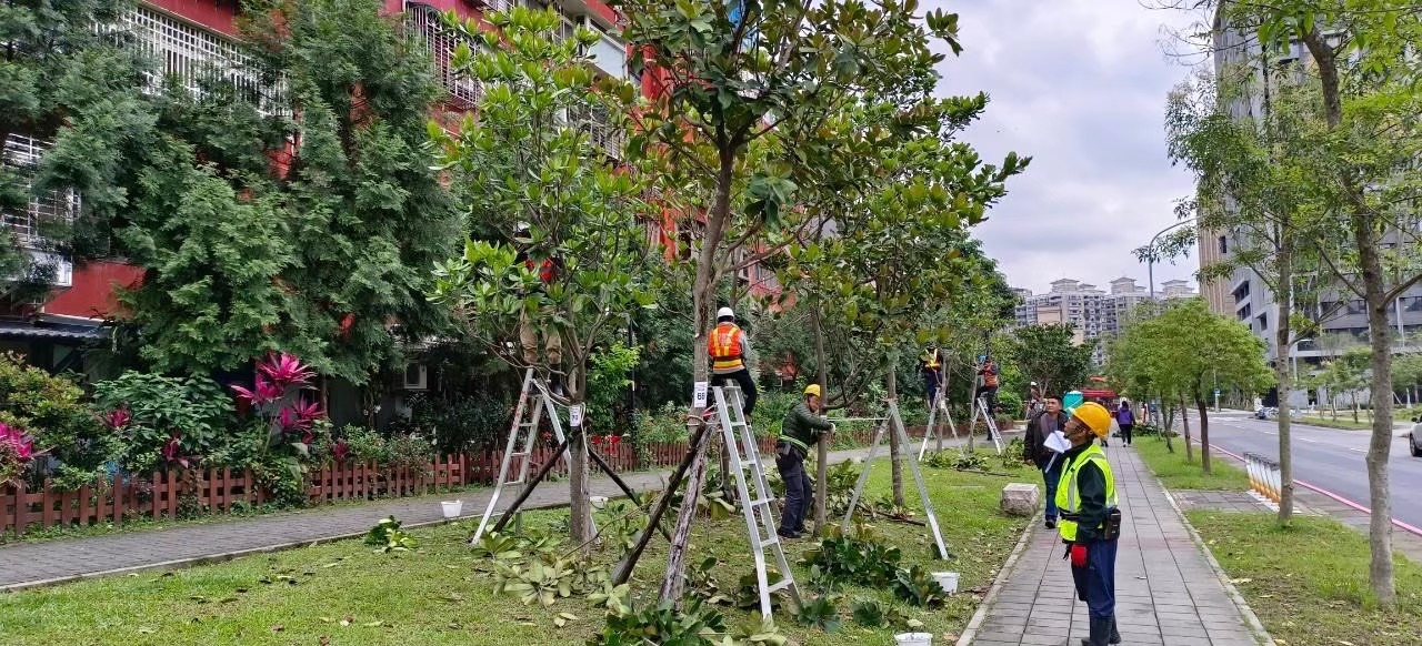 透過景觀樹木修剪實務練習，避免不當修剪對樹木造成傷害，進一步提升城市景觀品質與公共安全