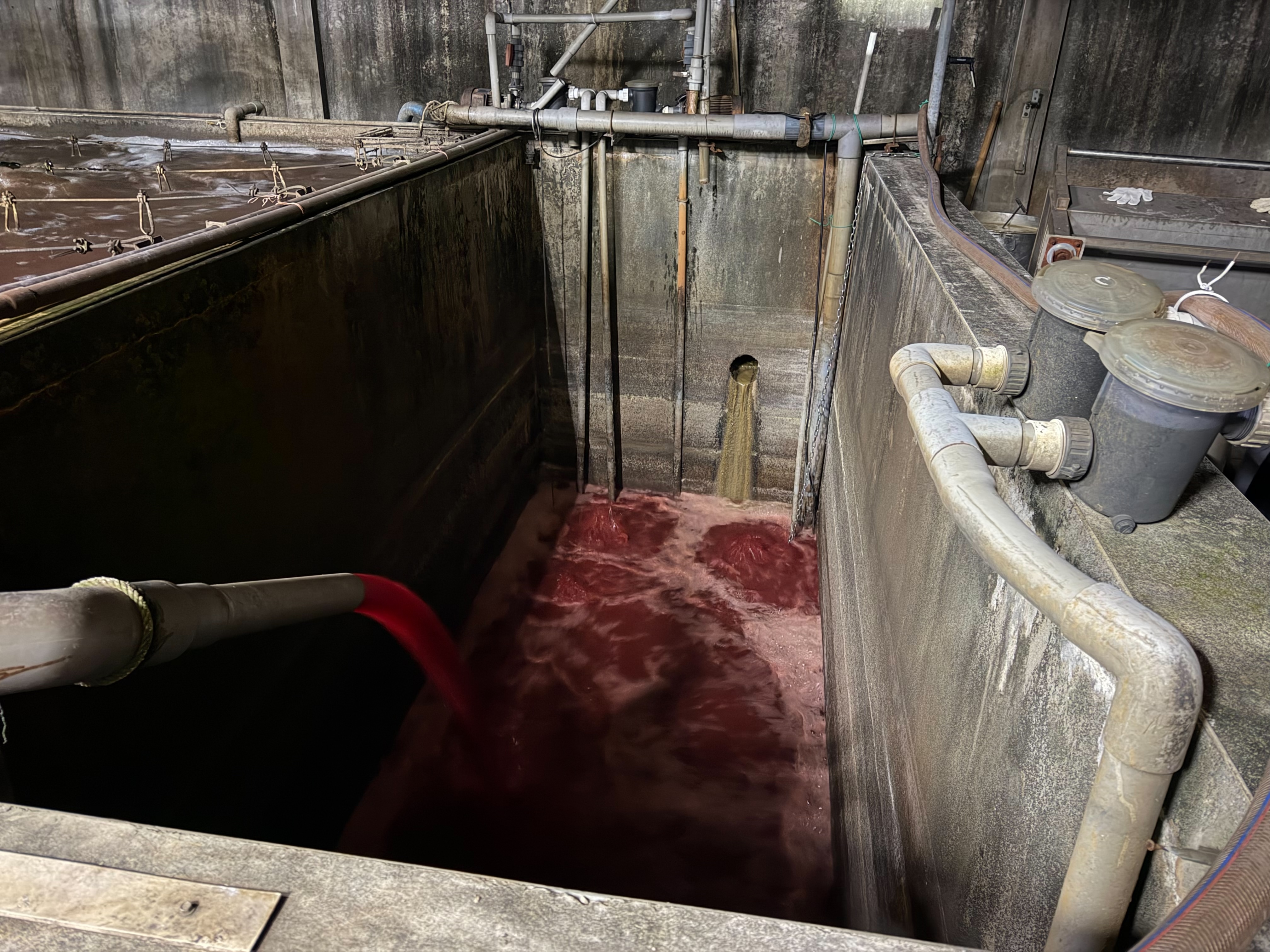 業者廠內廢水池