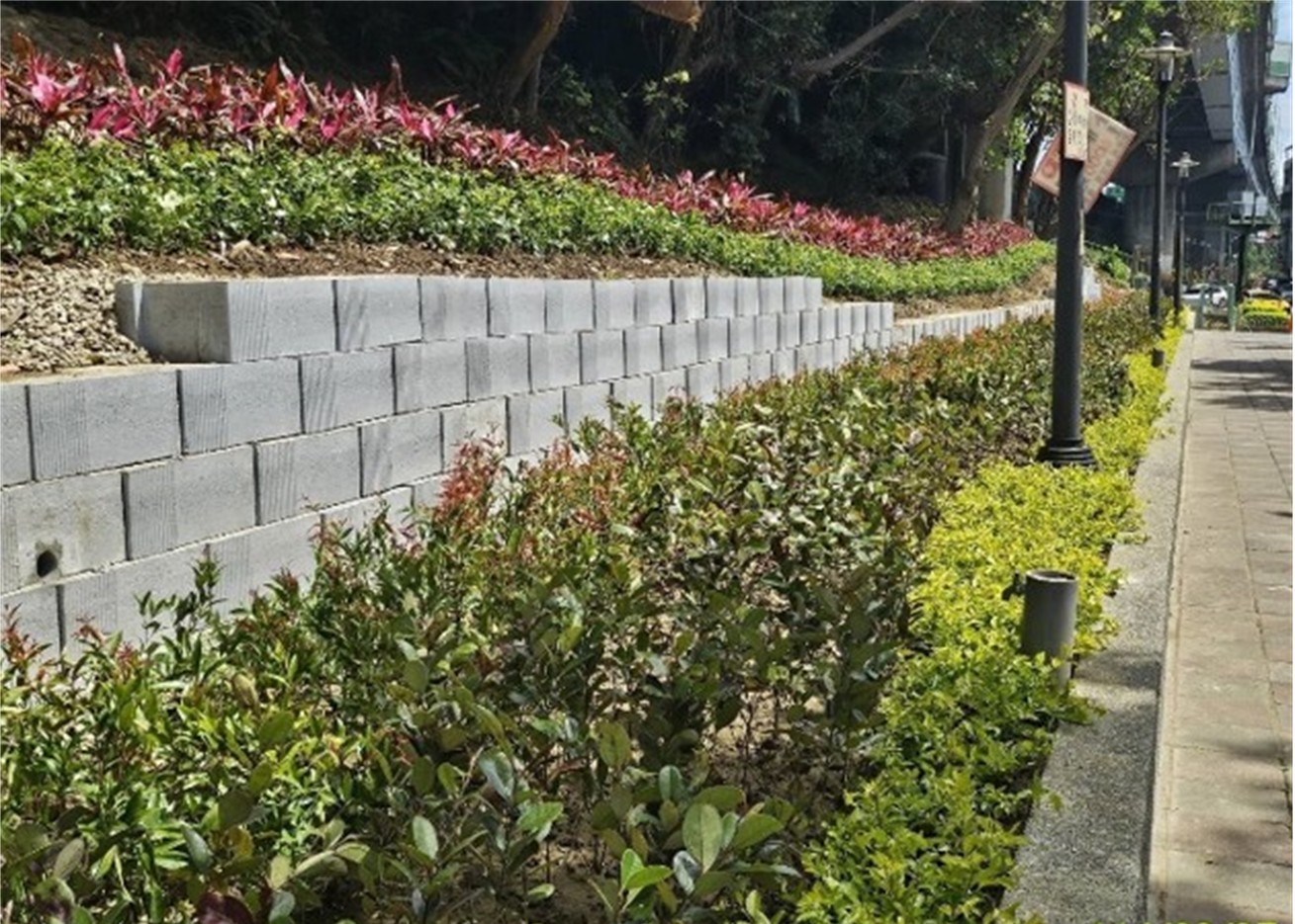 三重區格致中學東側旁邊坡綠家園基地綠美化成果(帶狀隔離型)