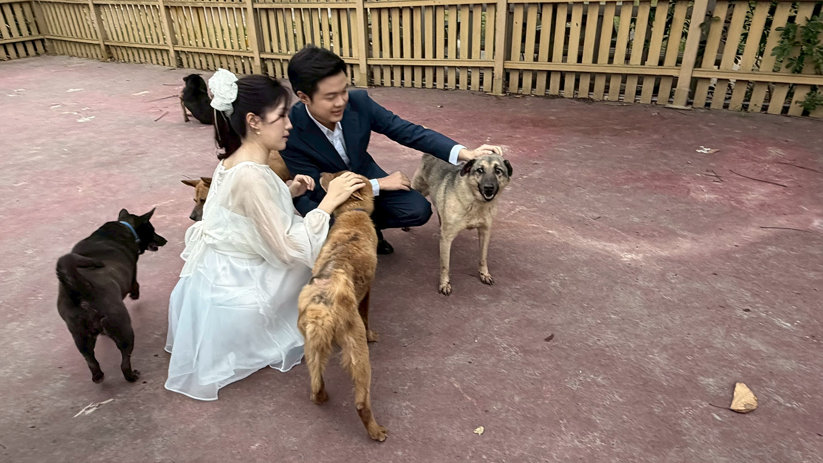  新郎湯先生希望在人生最重要的時刻，以行動支持動物保護理念 (2)