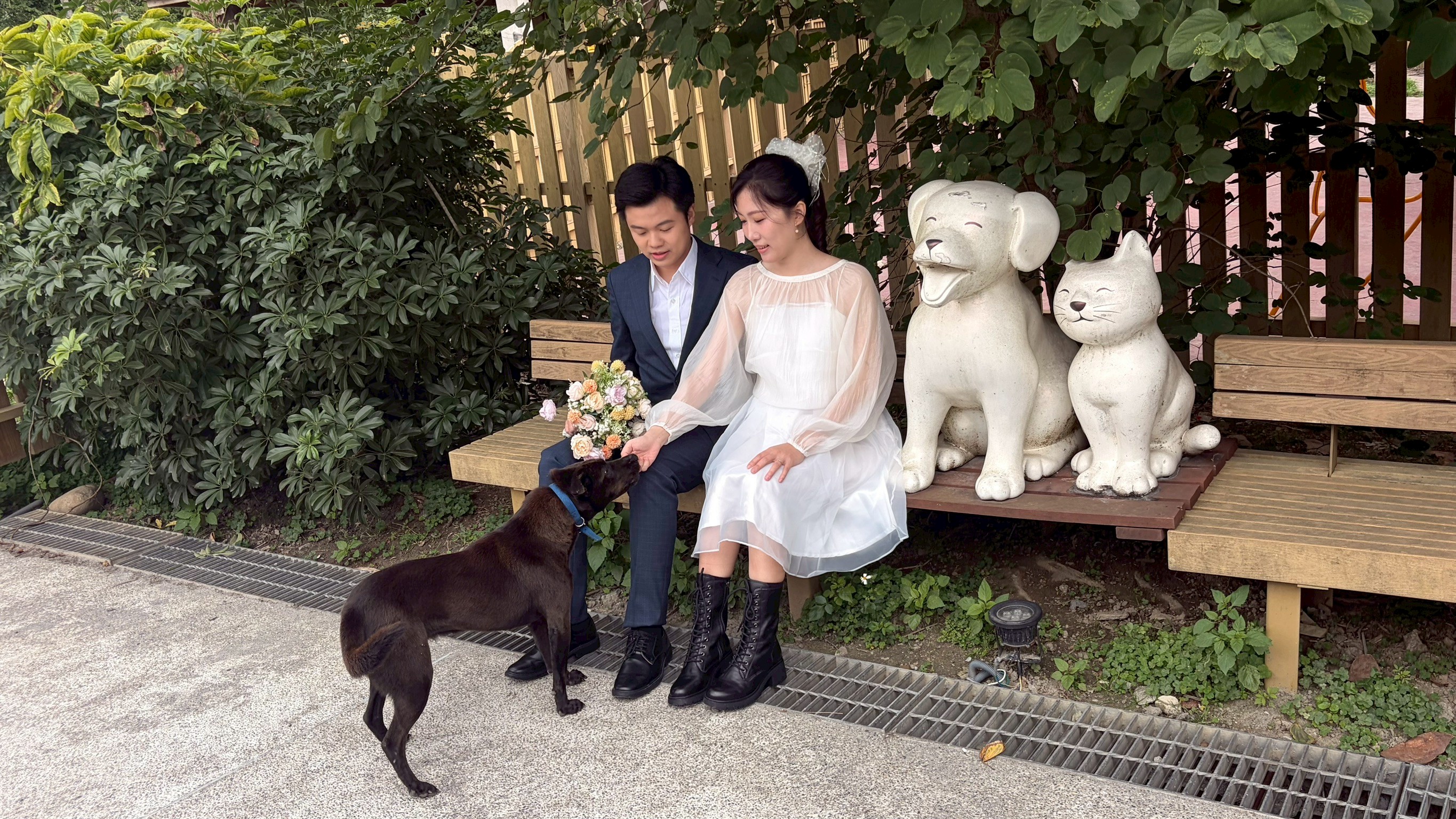  新郎湯先生希望在人生最重要的時刻，以行動支持動物保護理念 (3)