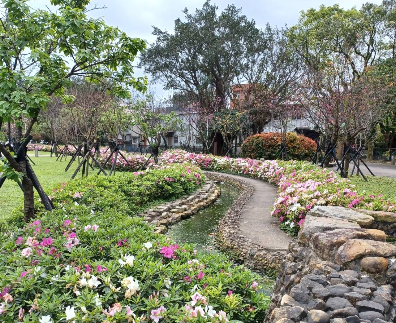 金山中山溫泉公園內步道串聯綠意，提供民眾日常散步與休憩空間