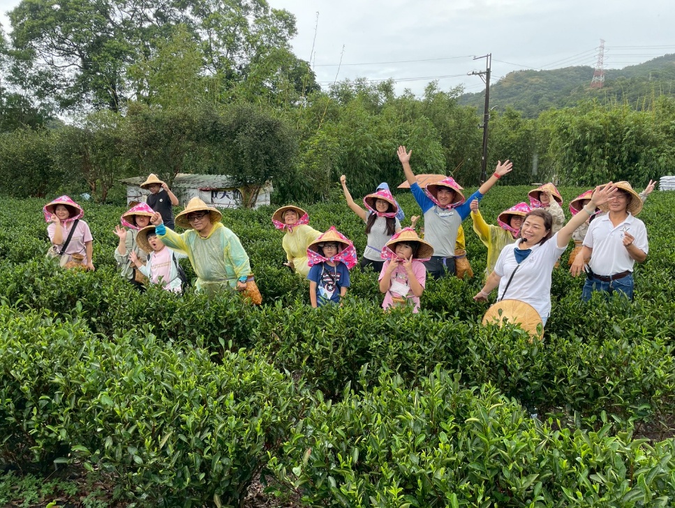 4.新北市客家局打造山客尞尞品牌，串聯三峽客籍茶行，規劃走讀活動。