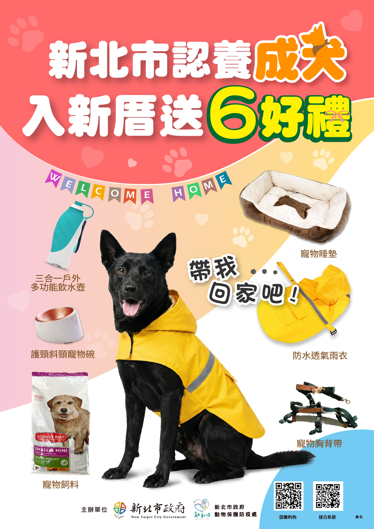  民眾至本市動物之家認養成犬即可獲得「新北市認養成犬入新厝6好禮」