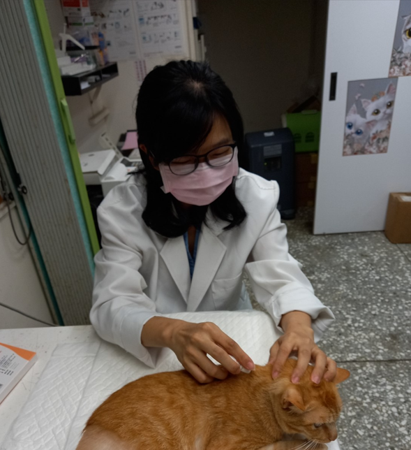 依獸醫師指導選擇與使用驅蟲藥劑