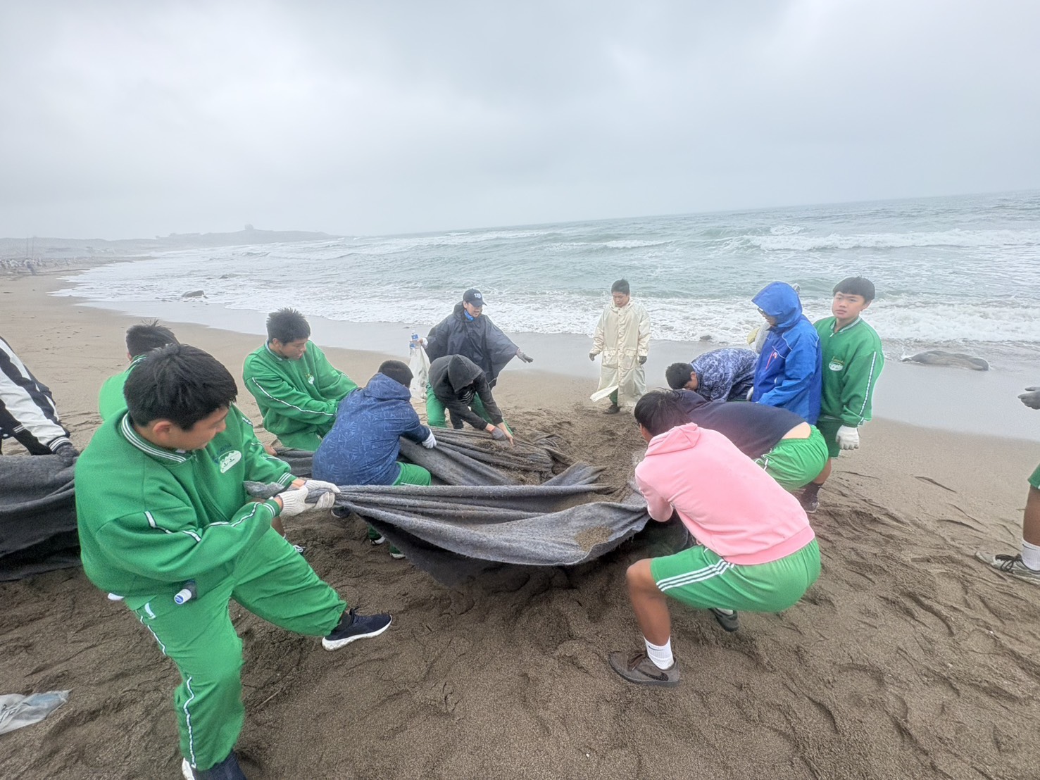 三芝國中橄欖球隊的「年輕生力軍」合力清理大型廢棄物