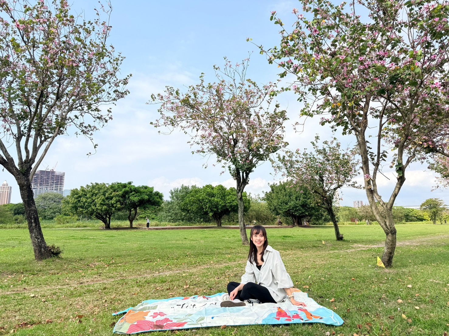 粉花隨風輕舞，為河岸鋪上一層浪漫色彩