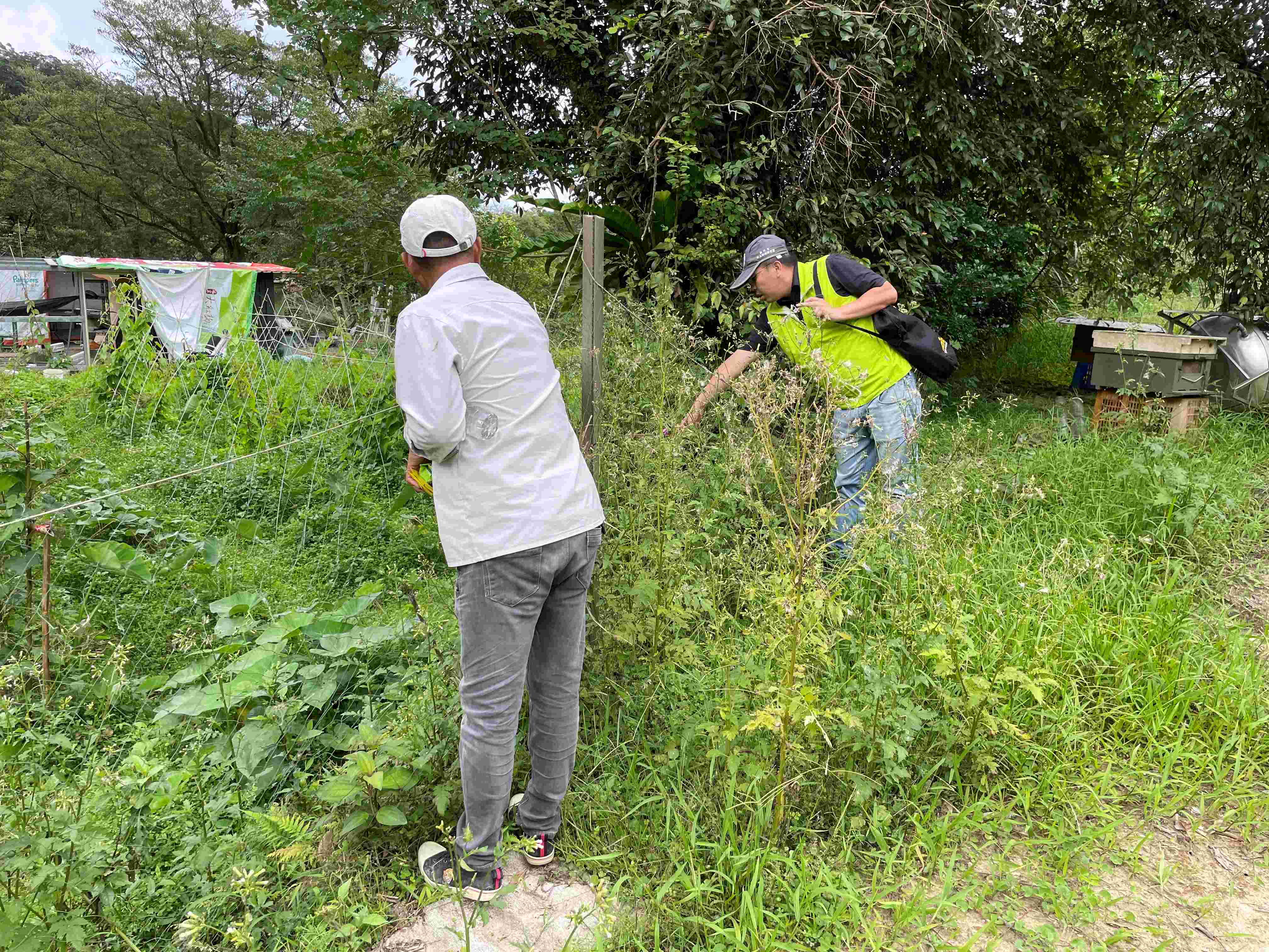 農民農耕需求需做擋土設施，新北市水保服務團協助至現場會勘，輔導申請施作砌石駁坎