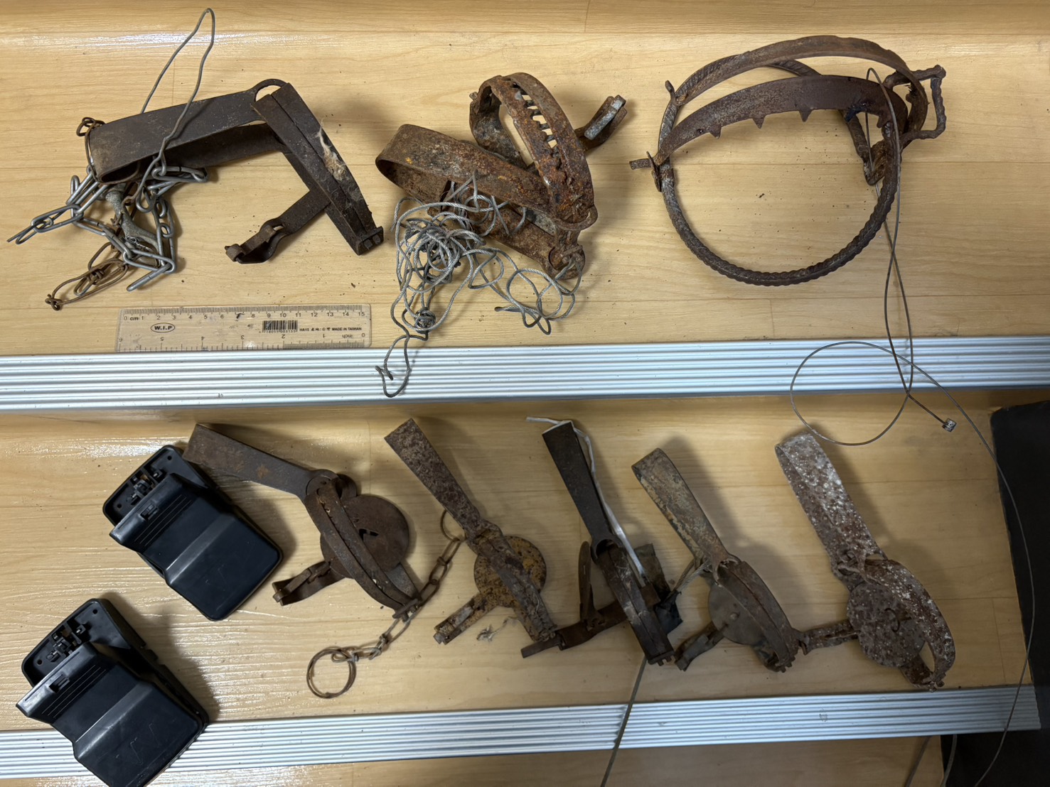 直徑未滿10公分的小、中型獸鋏可申請每組100元獎勵金