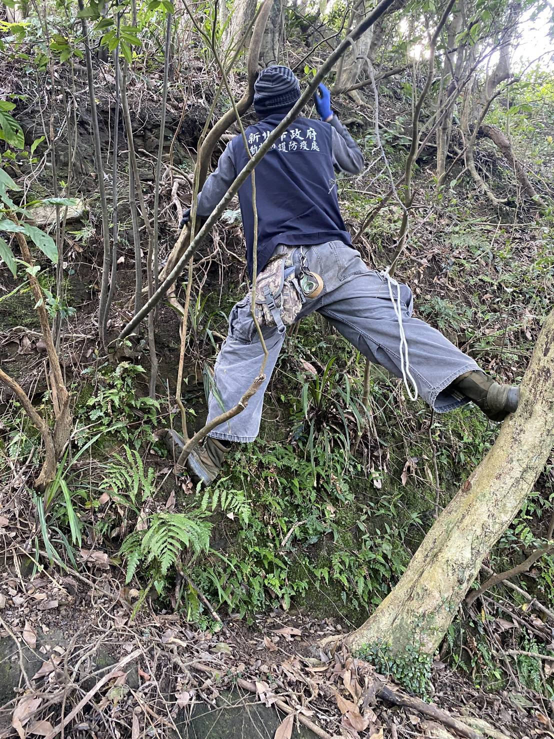  動保人員救援中