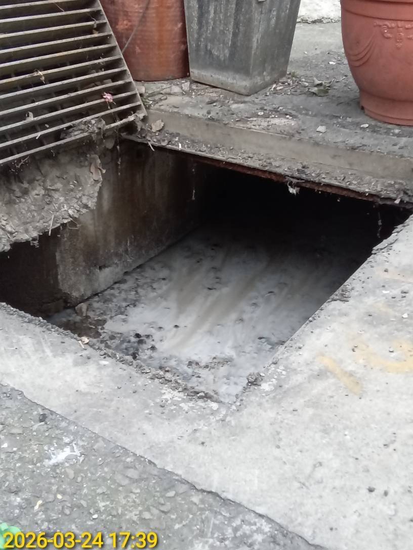土城區承天路巷弄側溝出現大量白色油污