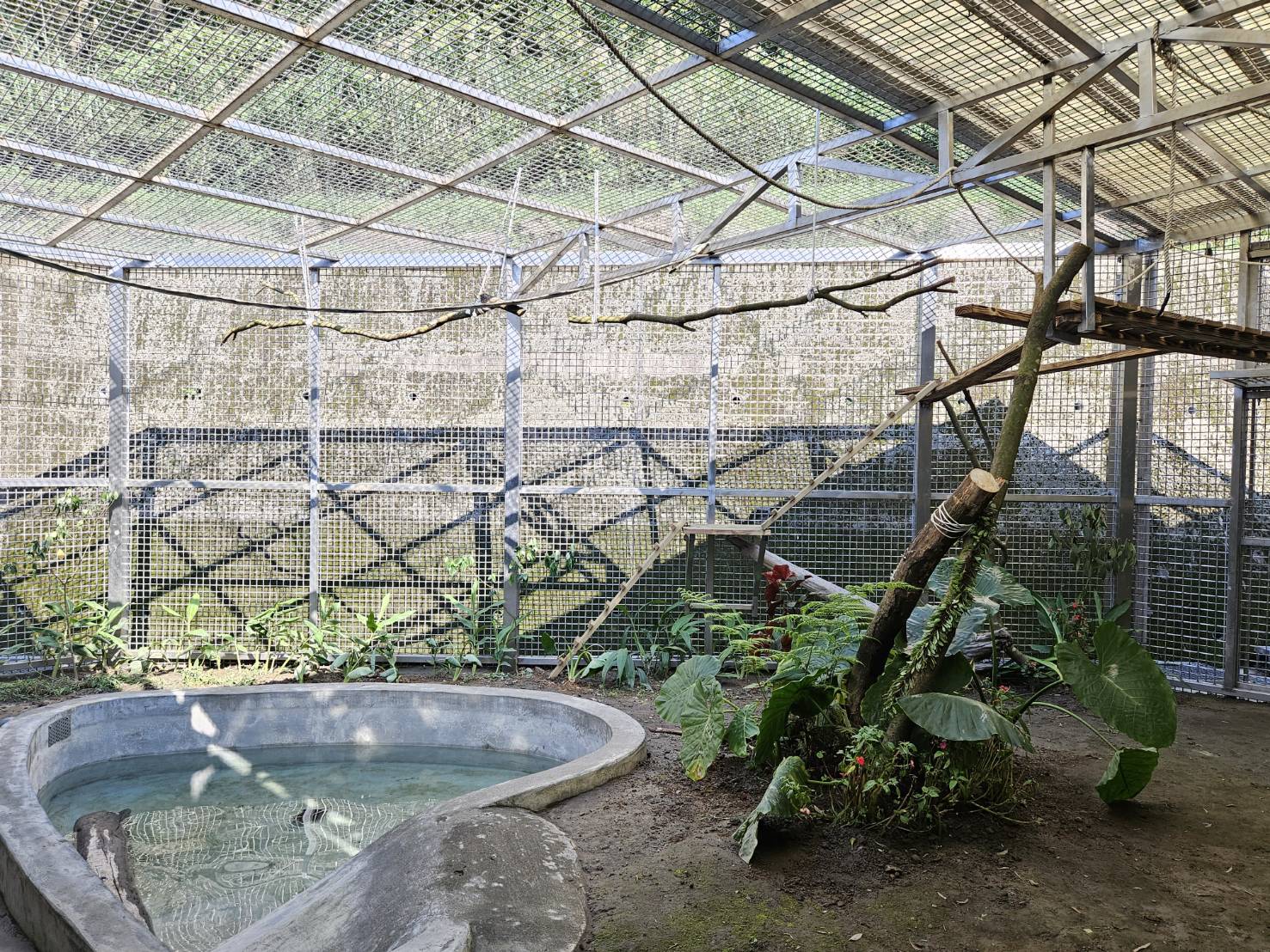 「新北市野生動物救傷收容中心」設置戶外兩棲爬蟲類水池，打造模擬自然環境。