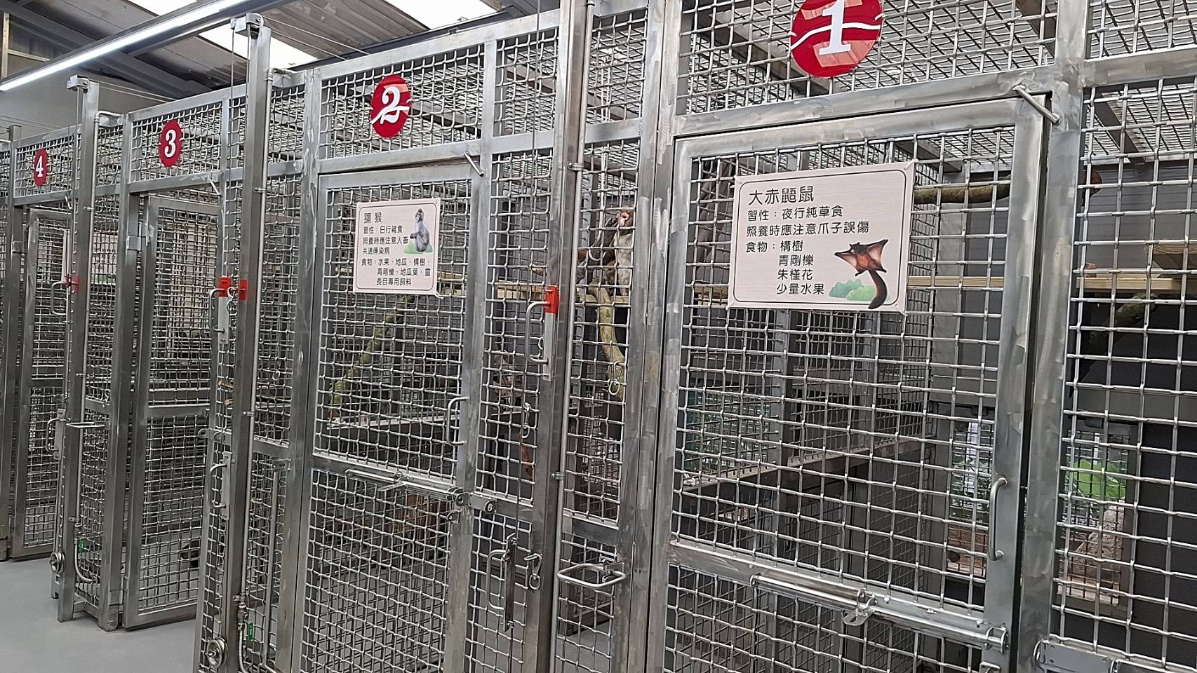  為野生動物打造特殊籠舍，收容對象涵蓋哺乳類、猛禽及兩棲爬蟲類等物種，兼顧安全與照養需求。