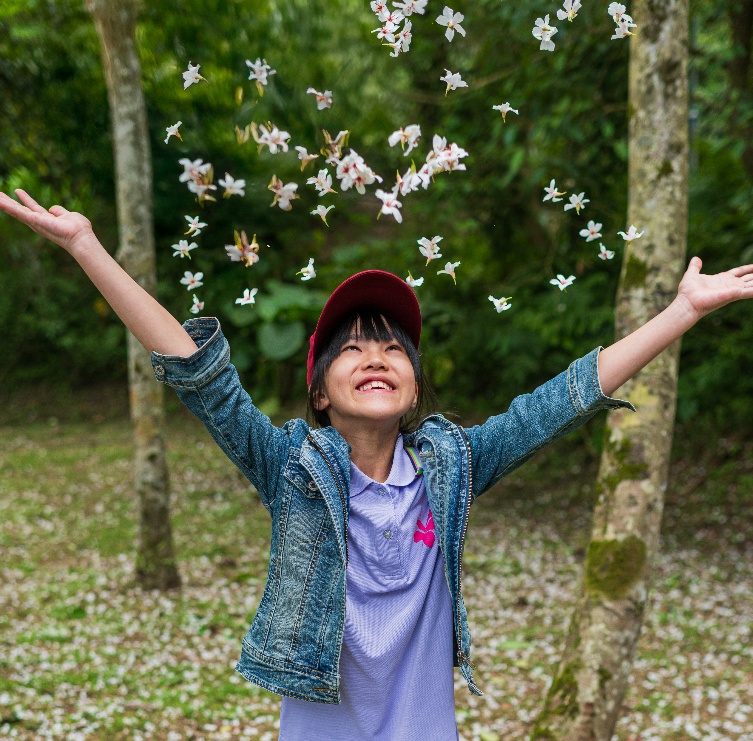 3. 每年春季油桐花盛開，雪白花瓣隨風飄落，鋪展成浪漫的「五月雪」。