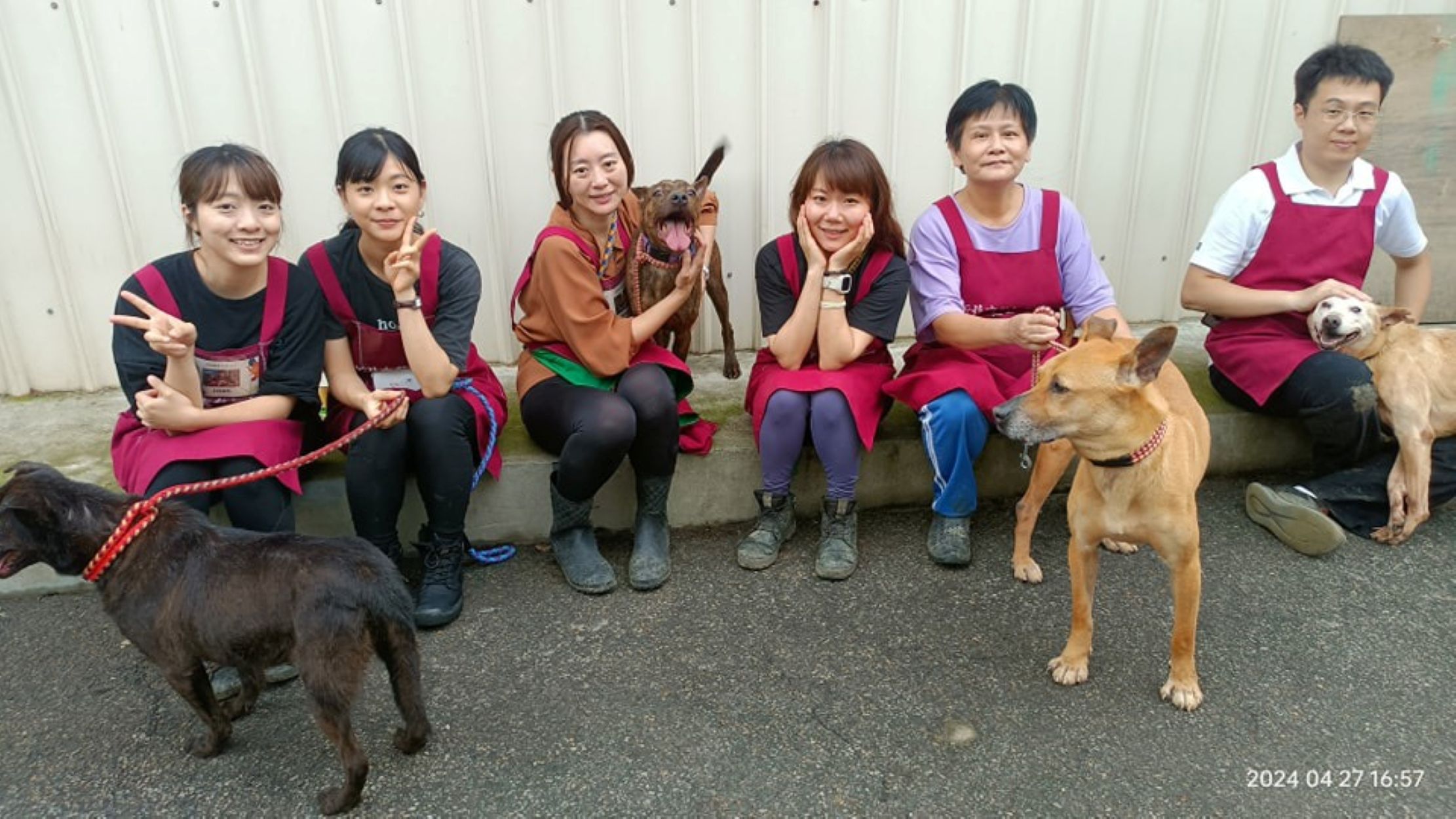 在志工隊長黃新的帶領下，青年志工們積極投入動物照護工作，陪伴犬散步、互動，讓毛寶貝受到溫暖與關懷