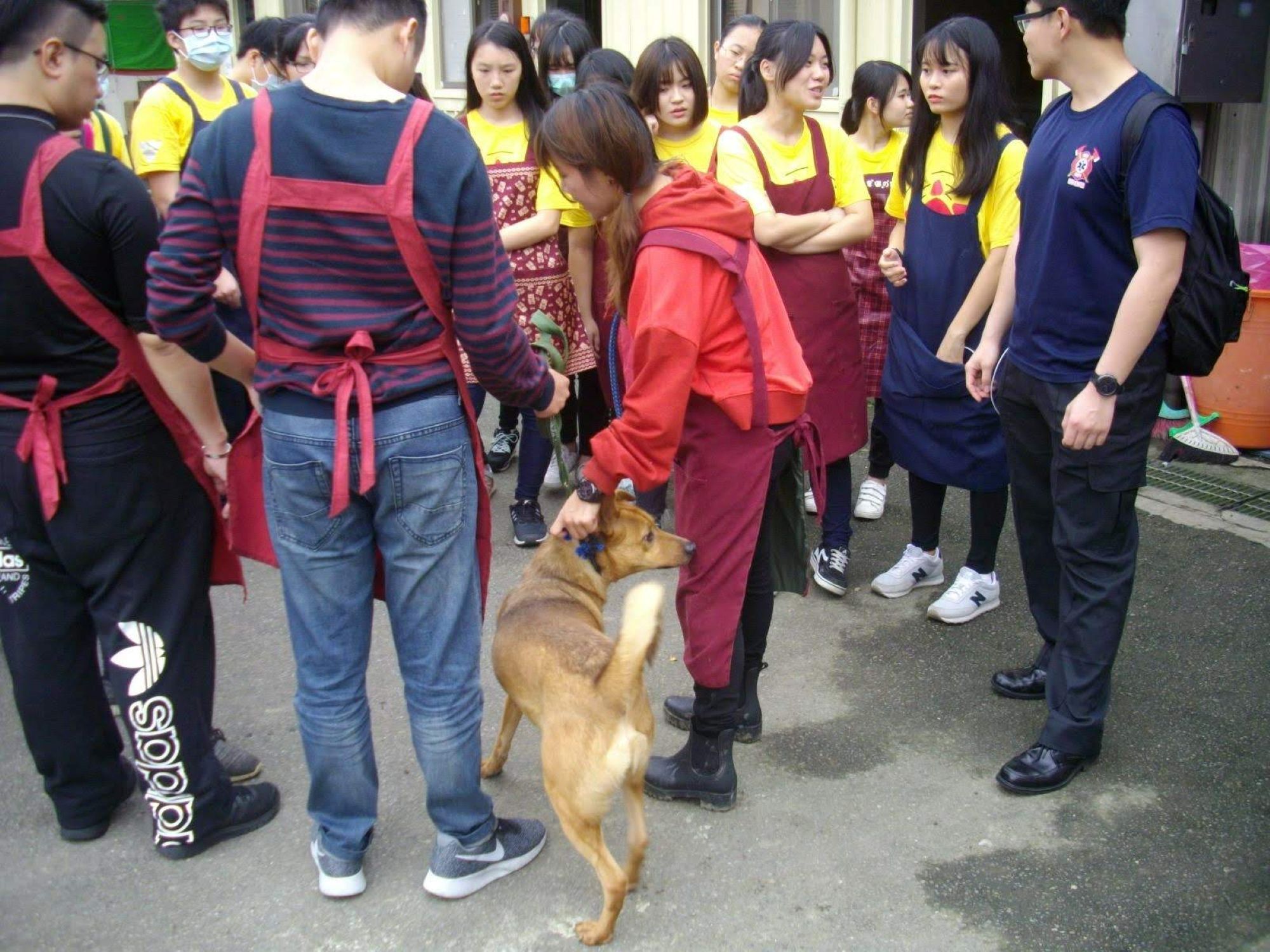 志工說明會，分享與狗狗散步的注意事項