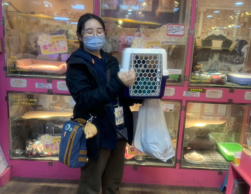 小黑白貓(萊卡)待在籠內準備與主人回家