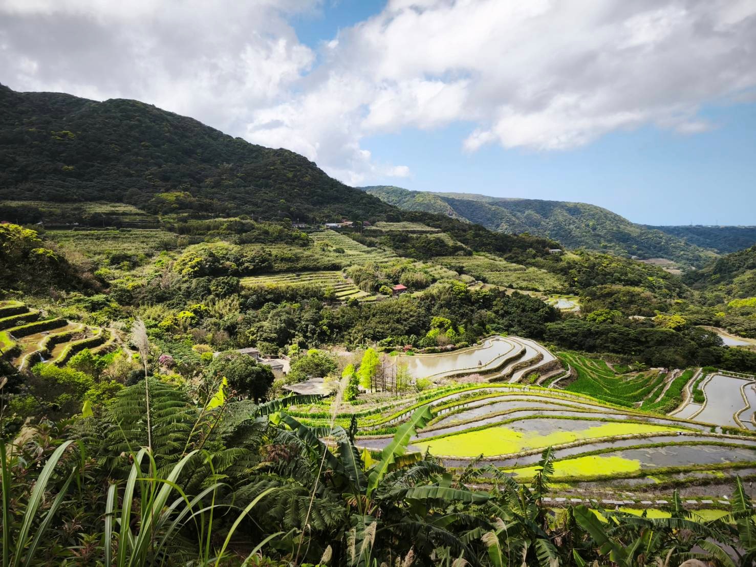 新北石門區保留許多早期農業文化的水梯田