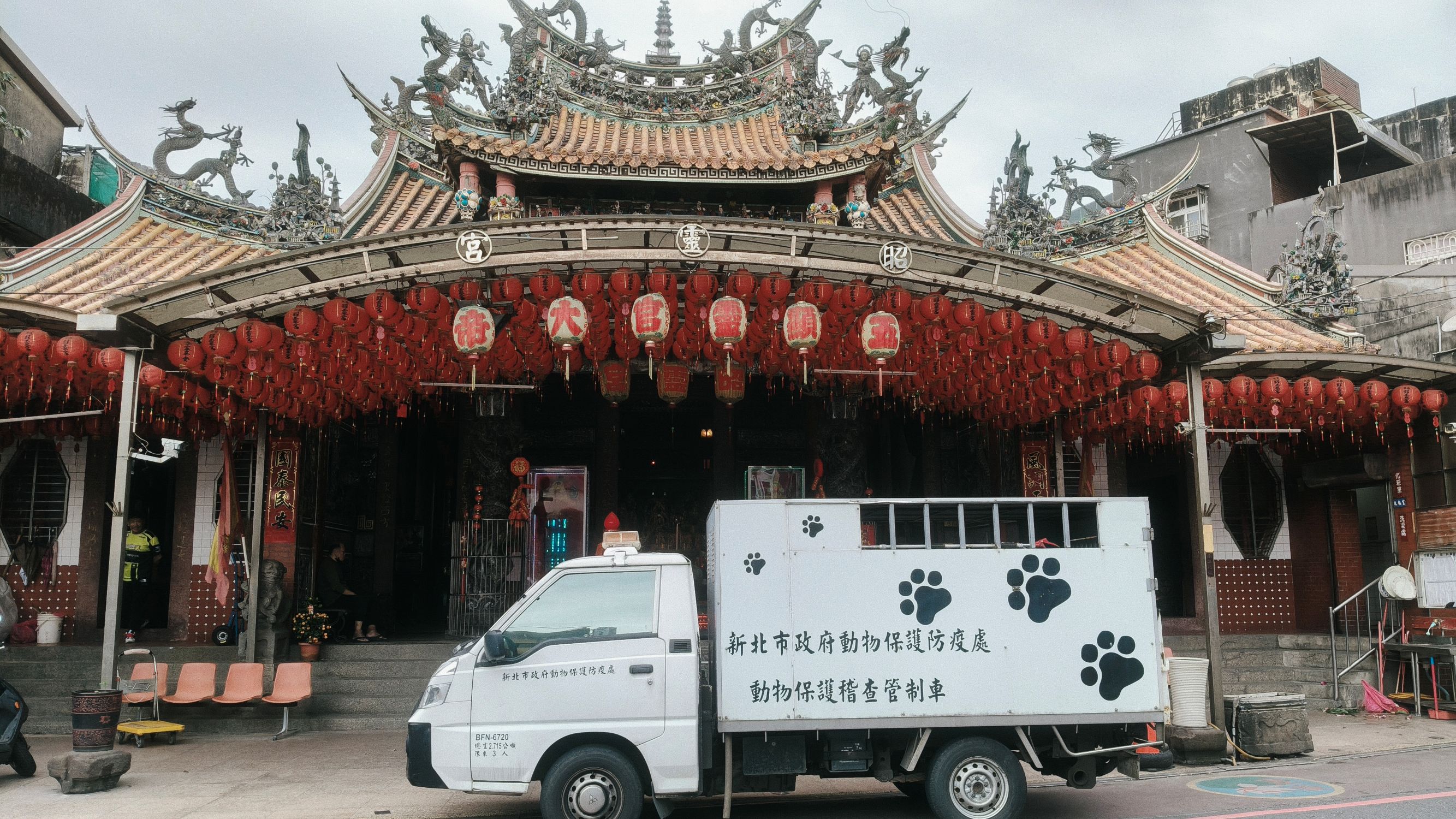 新北市動保處派出動保員前往昭靈宮協助處理