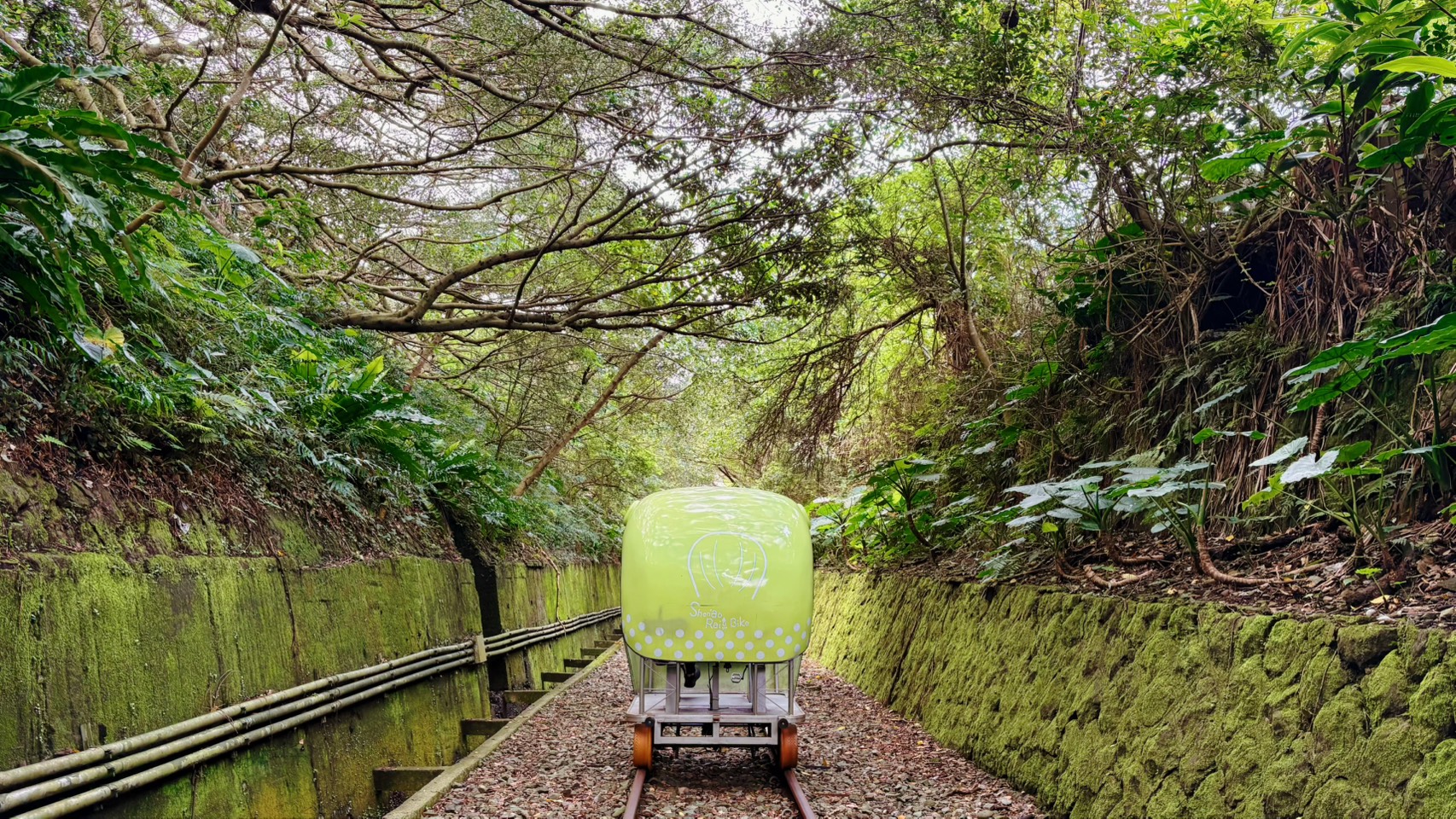 可愛的河豚車穿梭在綠意盎然的鐵道廊帶中，展現出將廢棄軌道成功活化並帶動區域共好的核心價值。