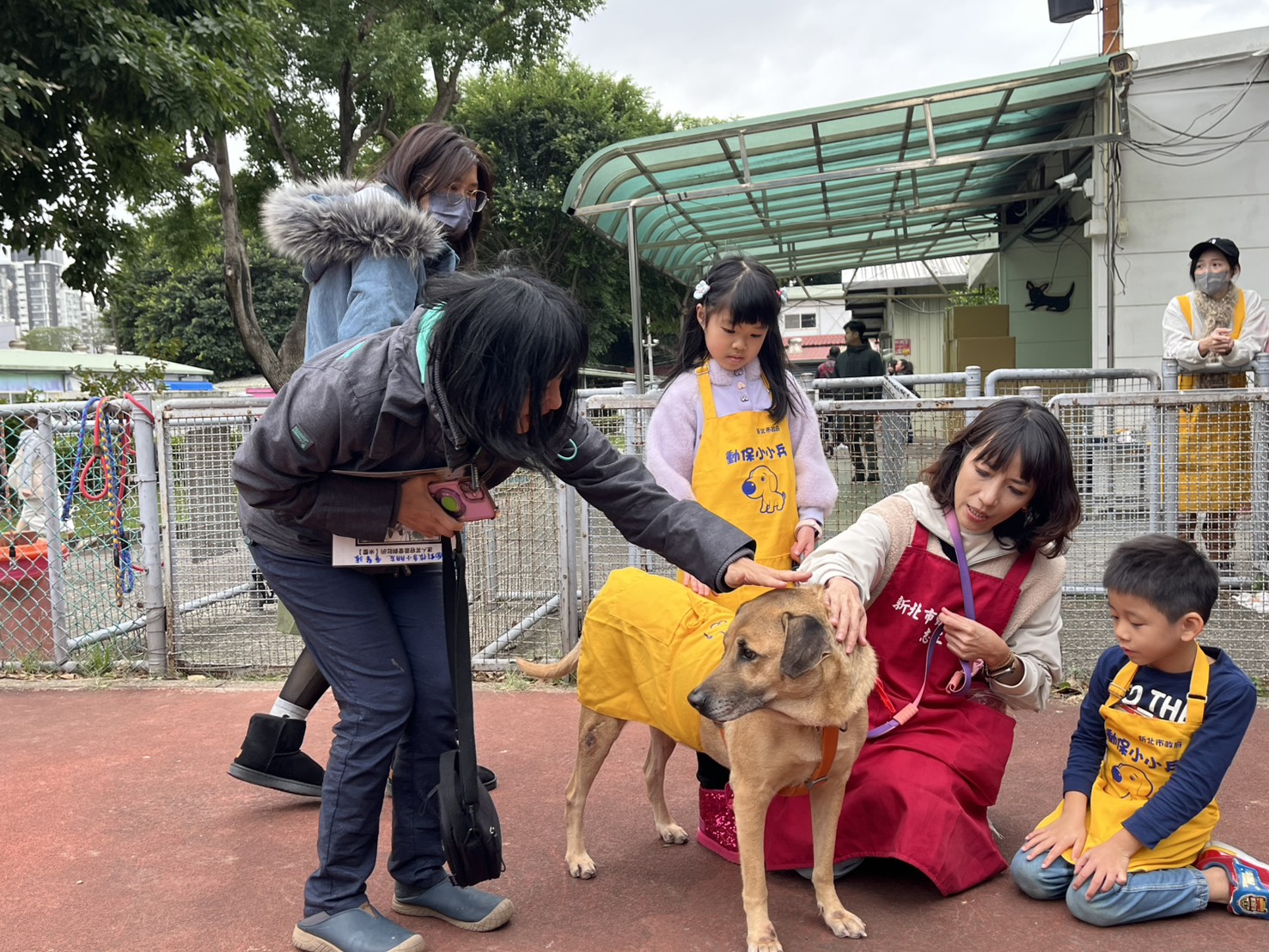  志工協助親子與狗老師互動