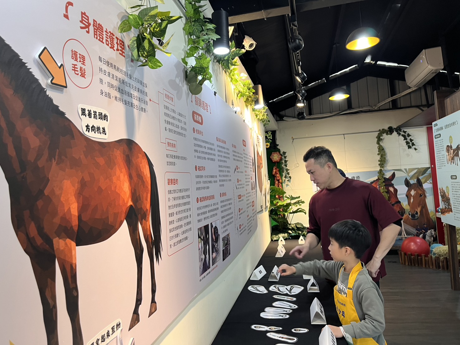 小小兵至馬展了解如何照護馬