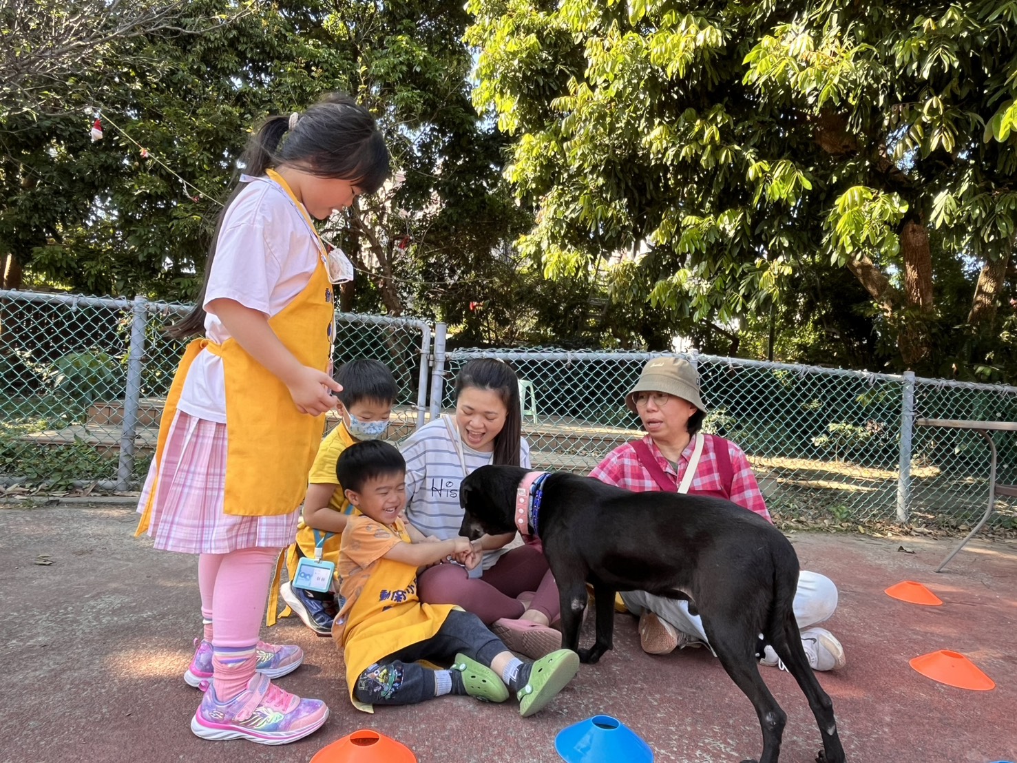  與狗互動初體驗