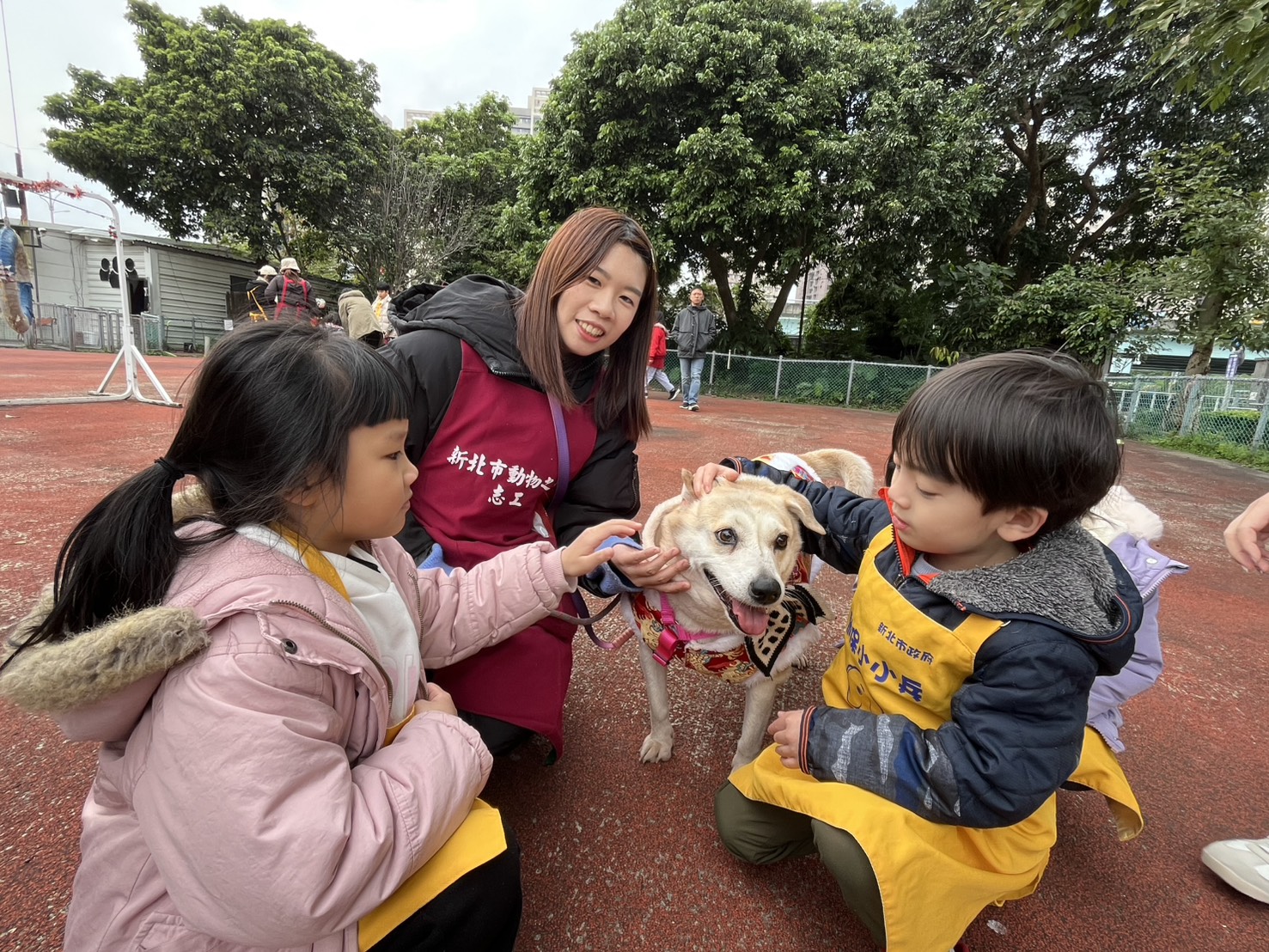  「奶茶」最佳狗老師