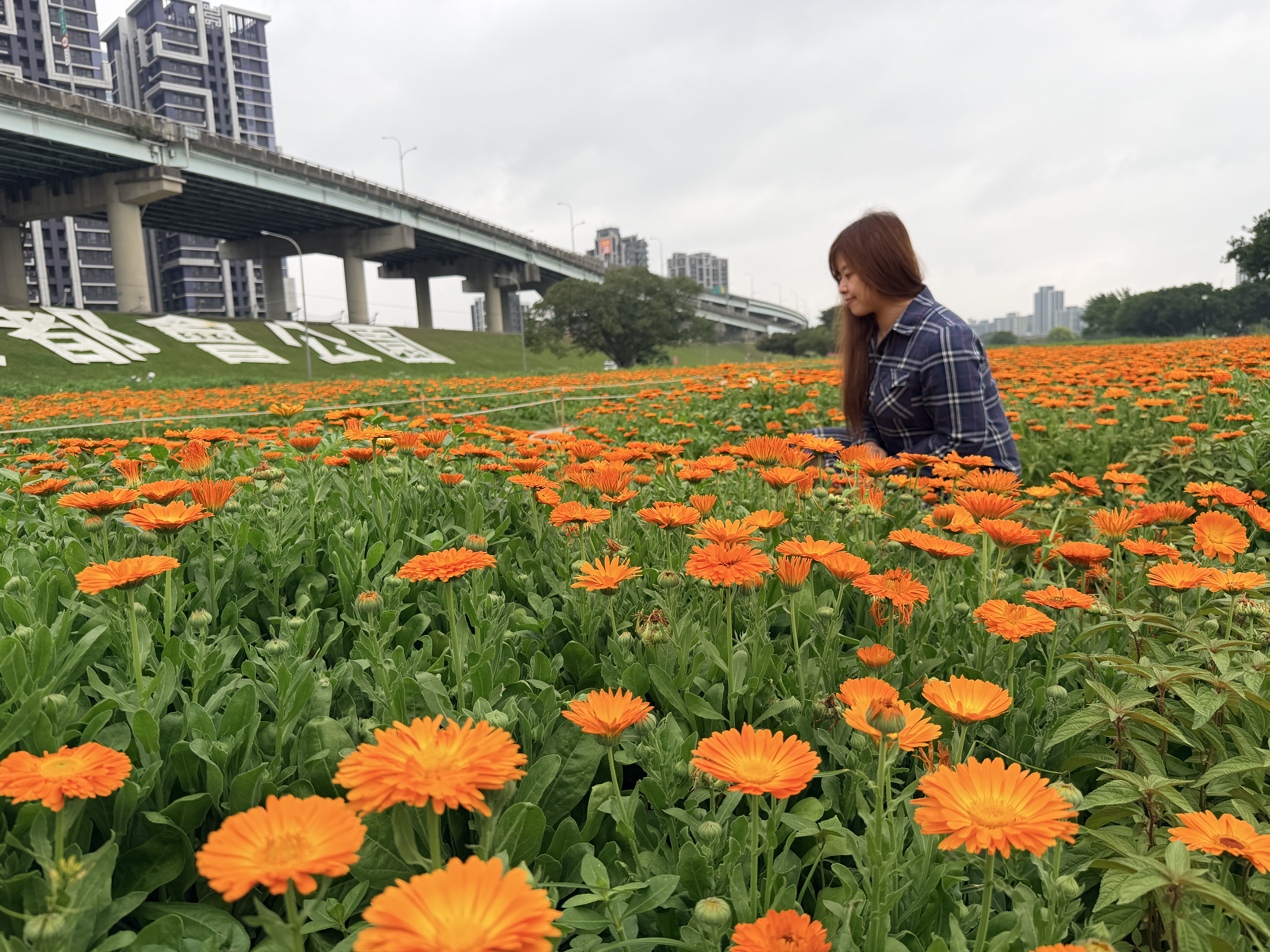 在幸福水漾拍美照，留下美好回憶