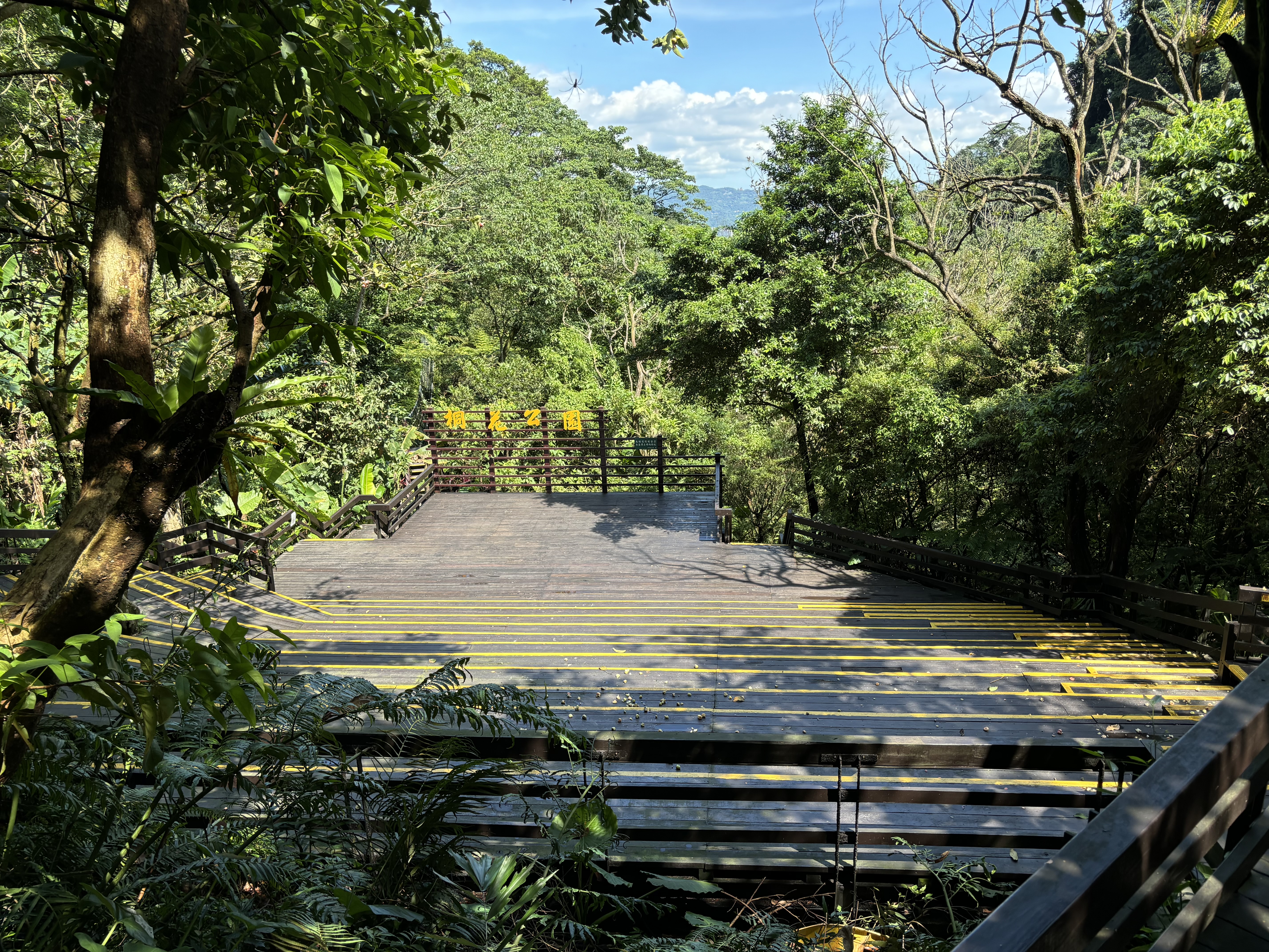 在土城桐花公園的山林舞台上，讓音樂與風聲交織，展開一場近山的感官饗宴
