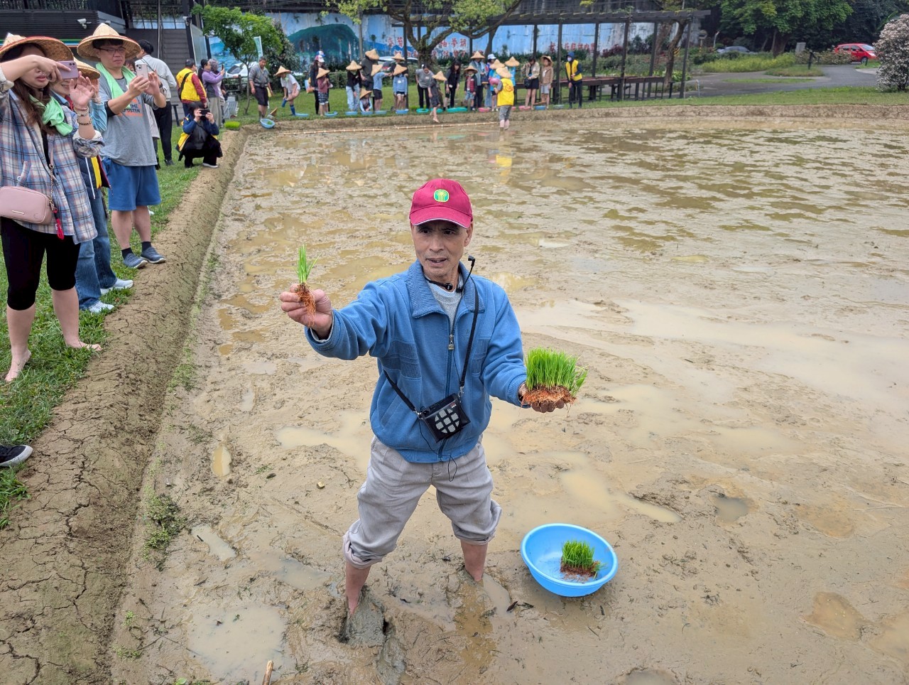 汐止區農會優良農事小組長王新傳教導現場大小朋友各種插秧的訣竅