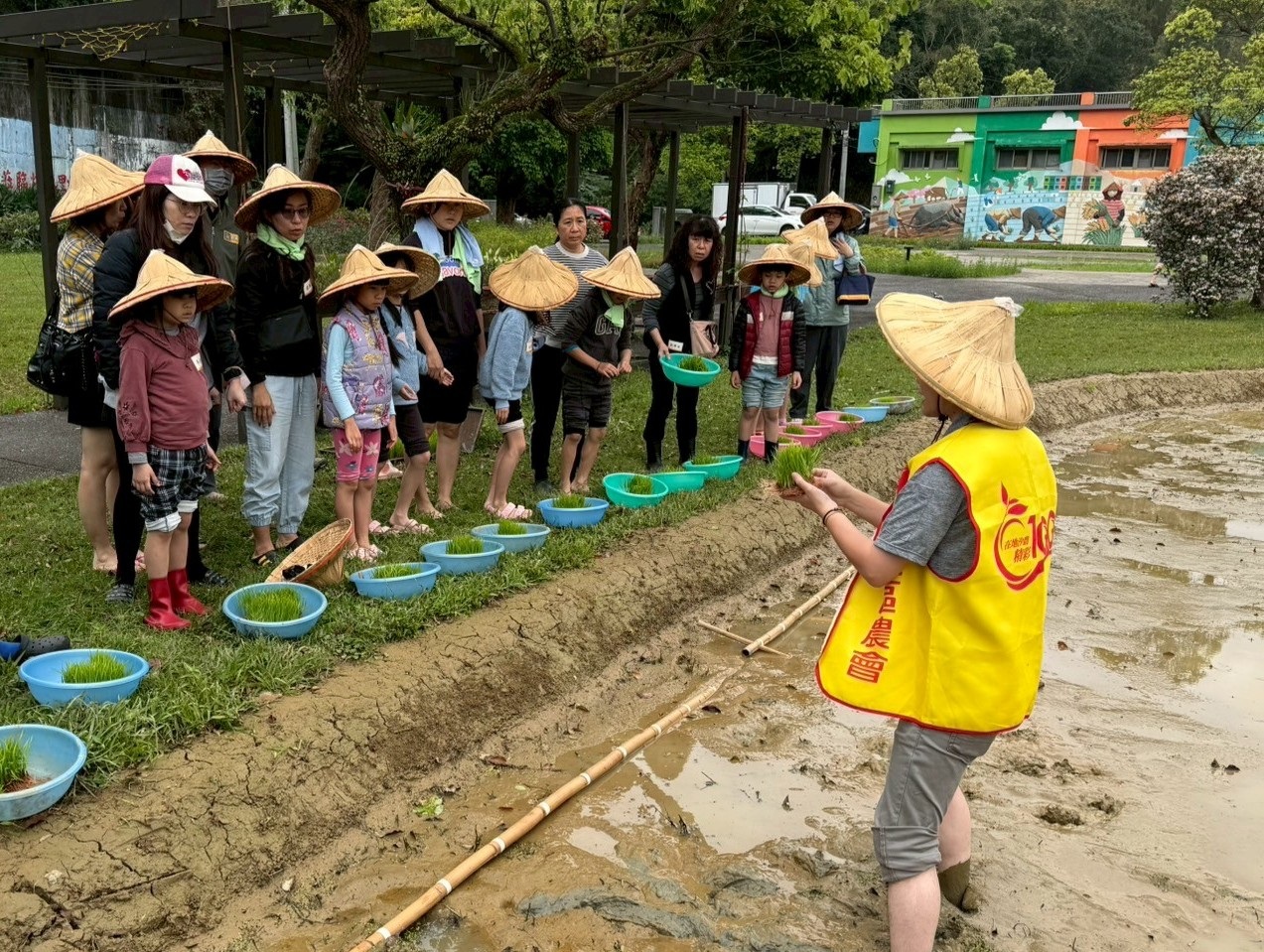 汐止區農會帶領大小朋友下田農作，讓年輕一代有機會了解水稻生長過程