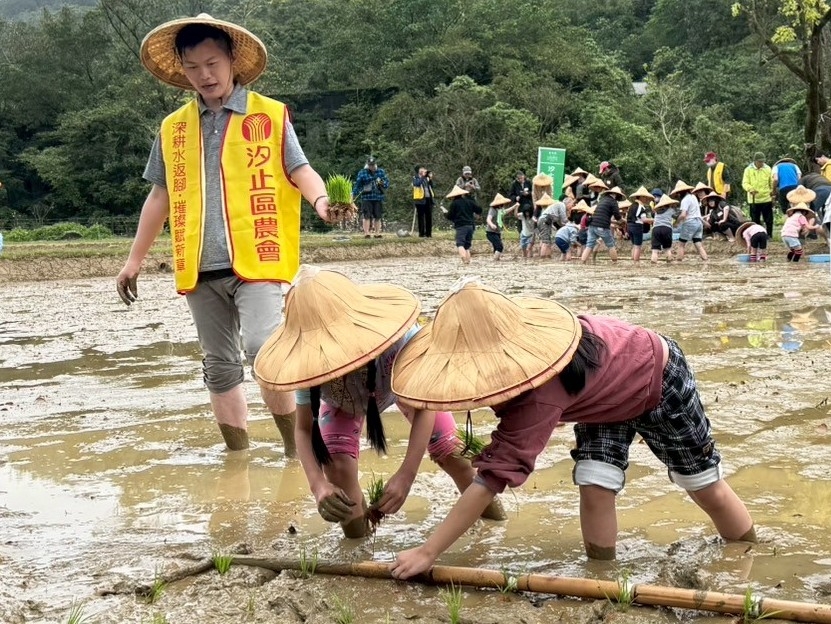 汐止區農會休閒中心園區定期舉辦水稻田插秧體驗，強化農會在農業推廣與社會責任的多元機能