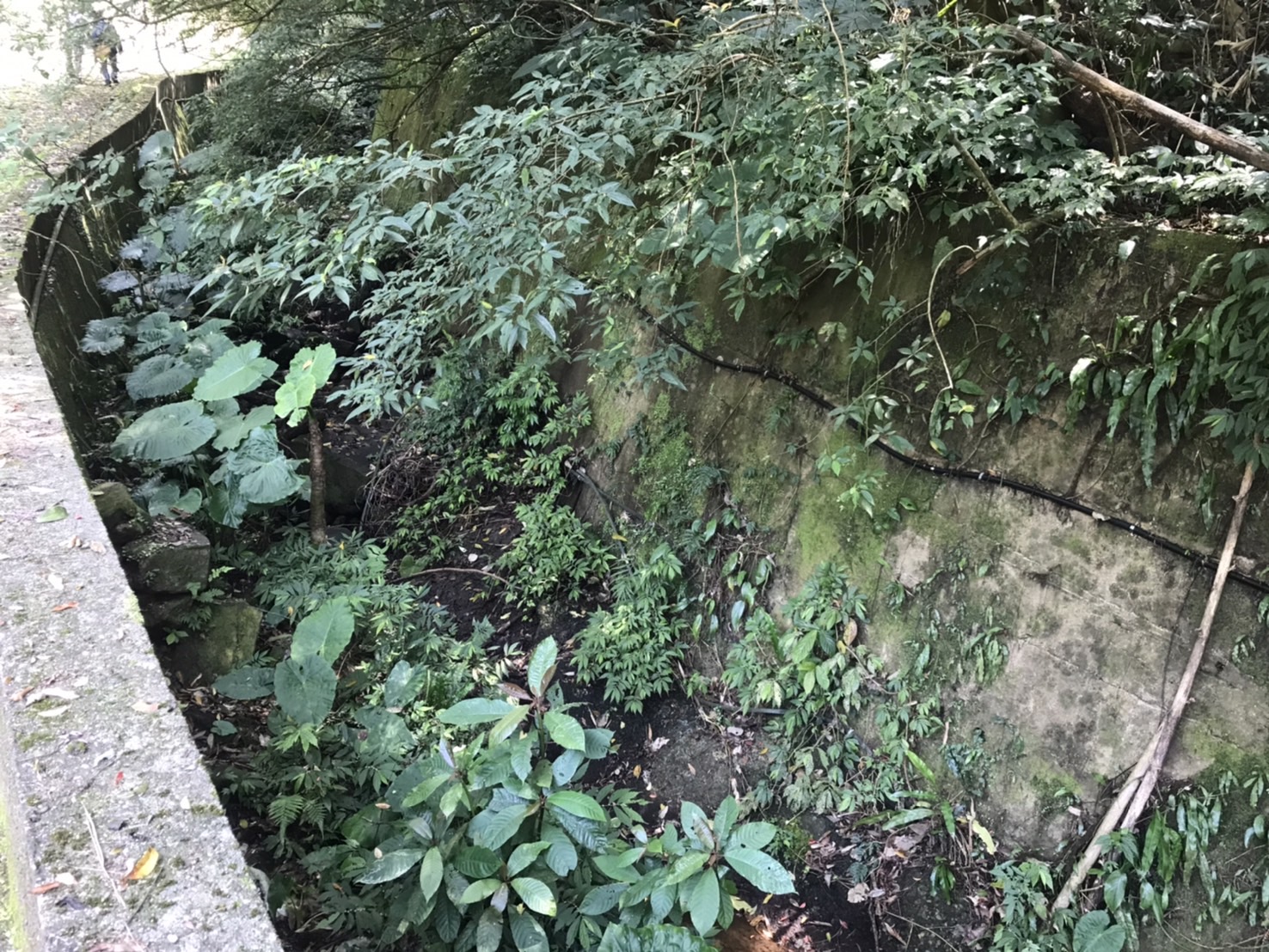 為了邊坡安全，石碇大崙山特水區預計將進行溪溝整治