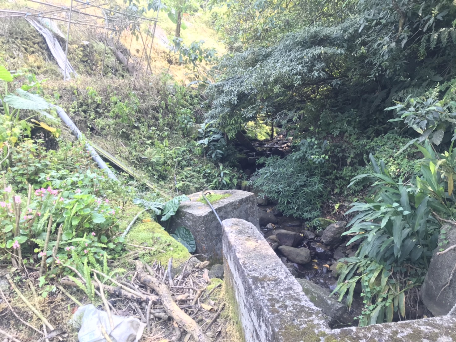 為了邊坡安全，石碇大崙山特水區預計將進行溪溝整治2